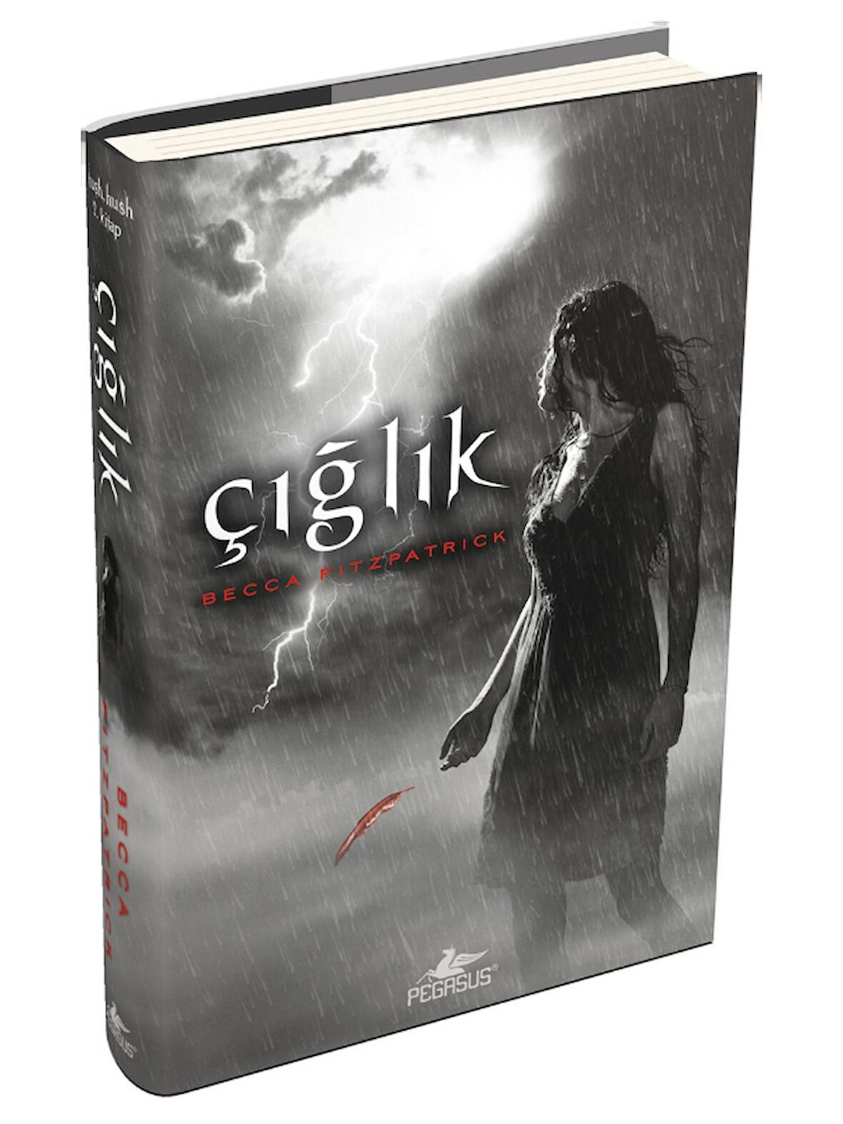 Çığlık