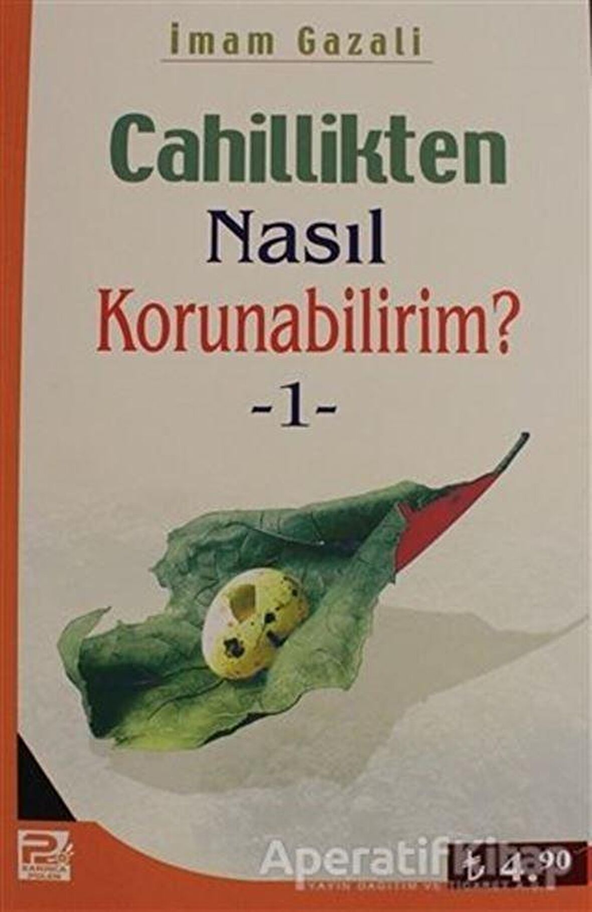 Cahillikten Nasıl Korunabilirim? 1