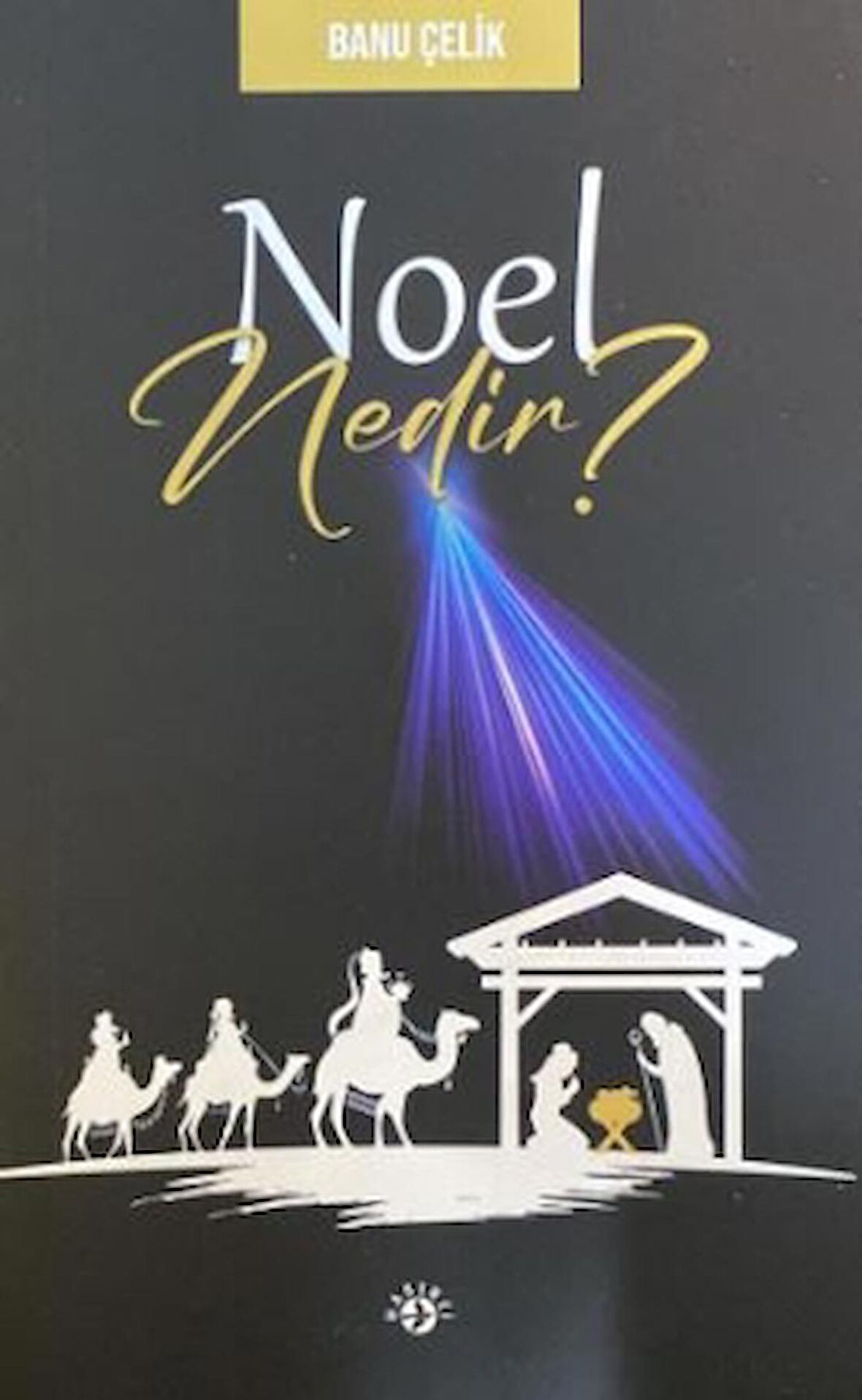 Noel Nedir?