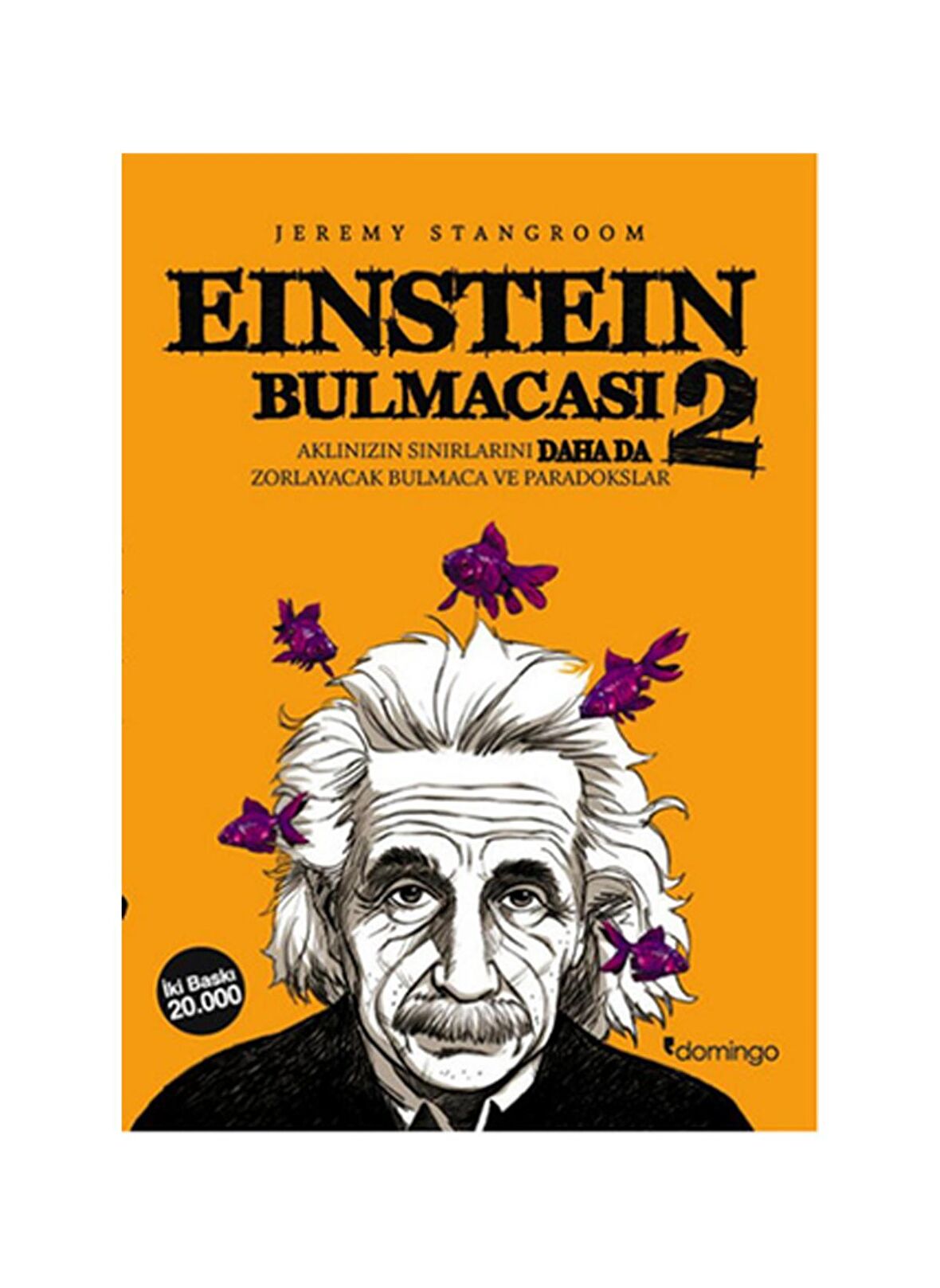 Einstein Bulmacası 2