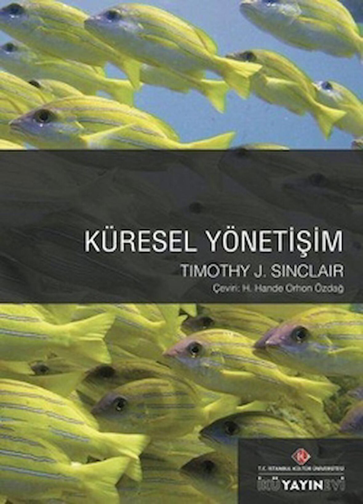 Küresel Yönetişim