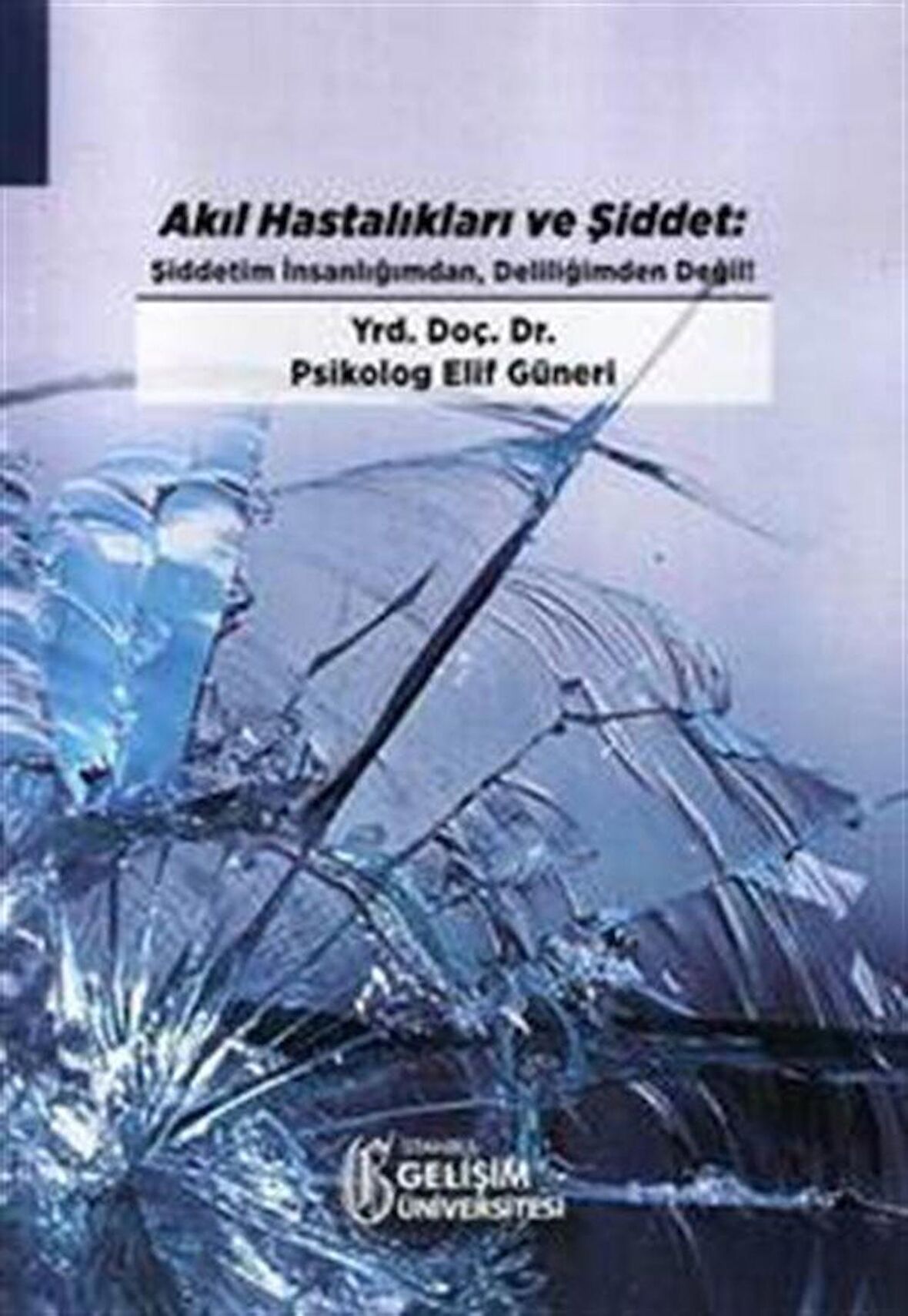 Akıl Hastalıkları ve Şiddet