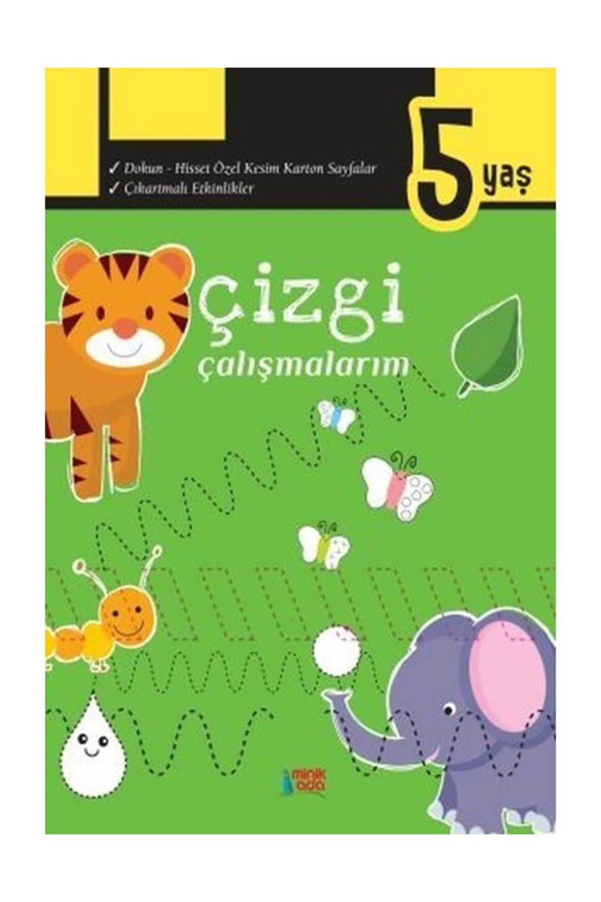 Çizgi Çalışmalarım 5+ Yaş