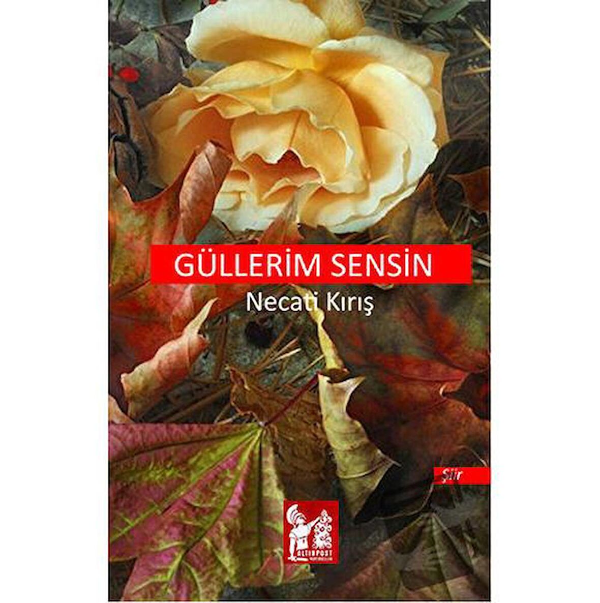 Güllerim Sensin