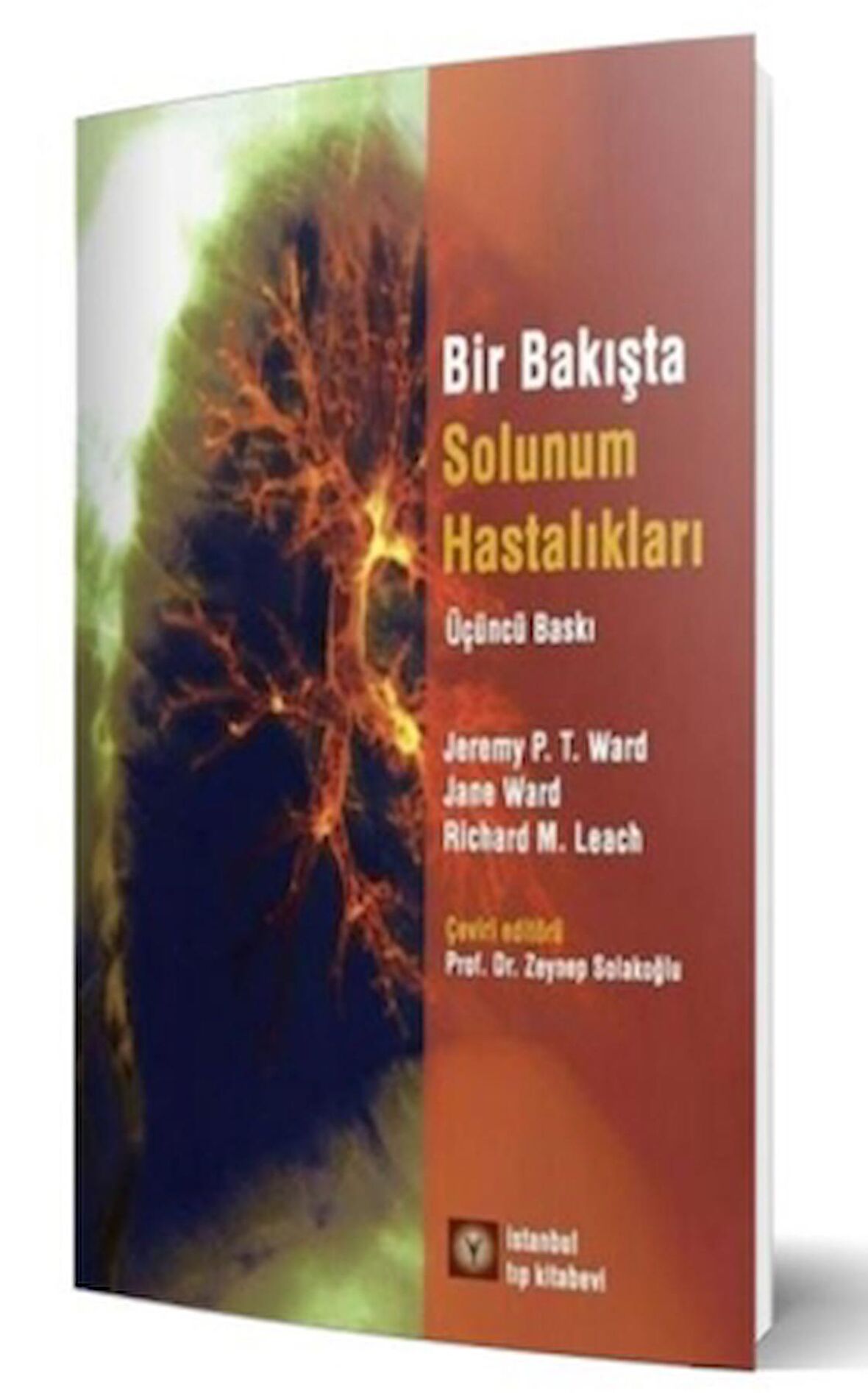 Bir Bakışta Solunum Sistemi