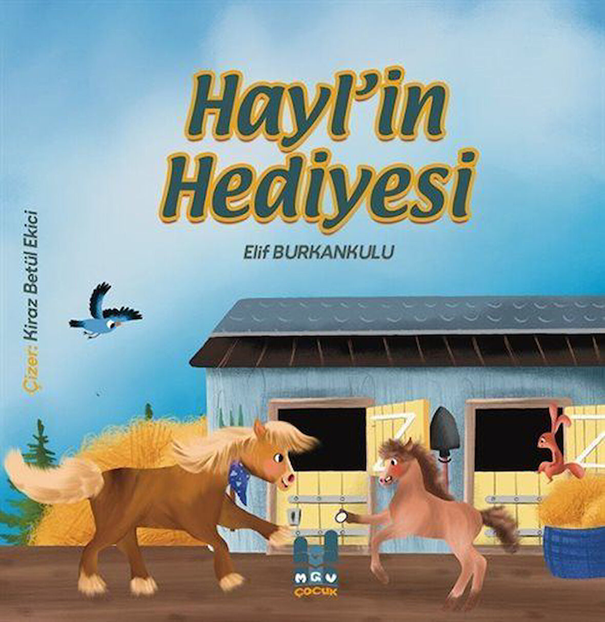 Hayl'in Hediyesi / Elif Burkankulu