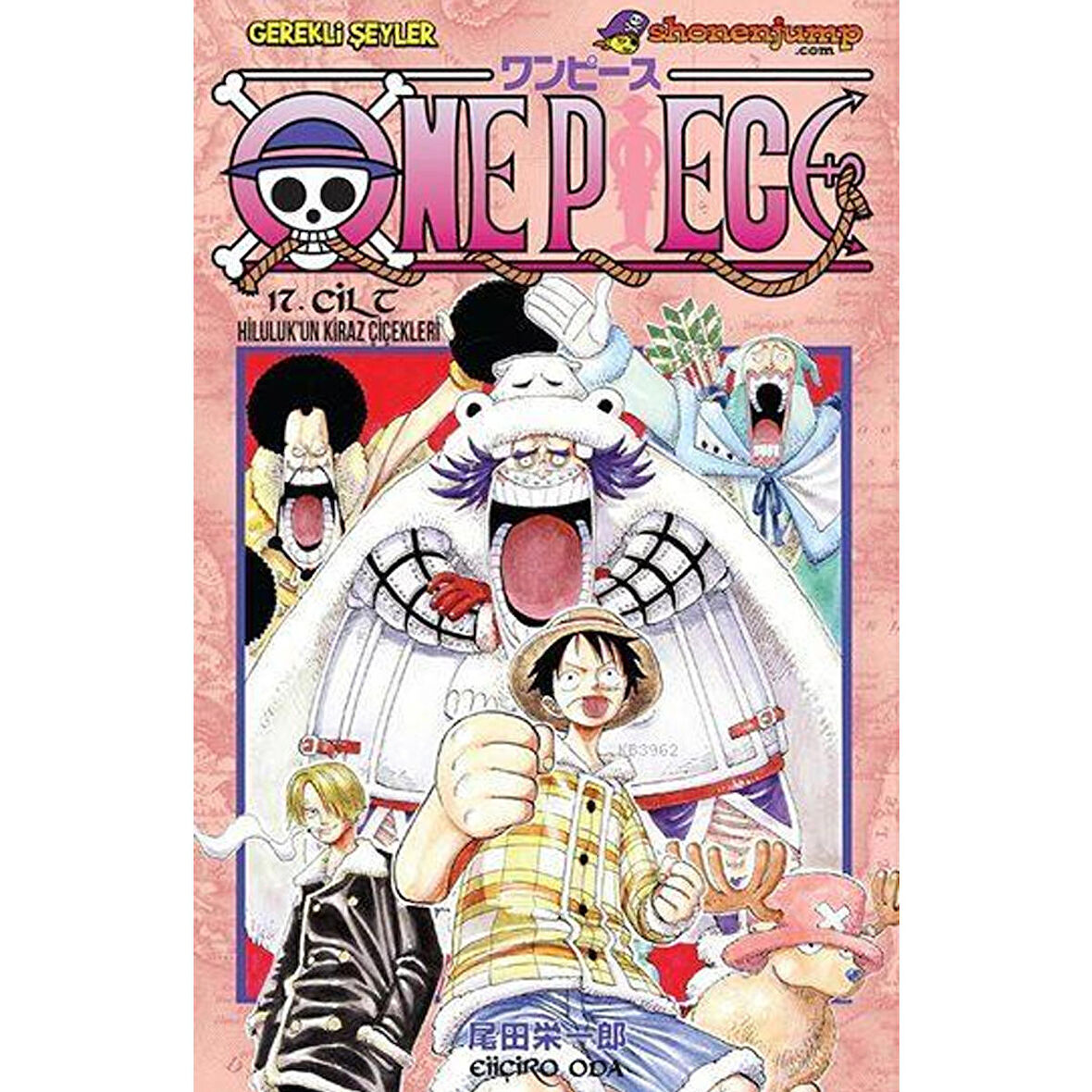 One Piece 17. Cilt