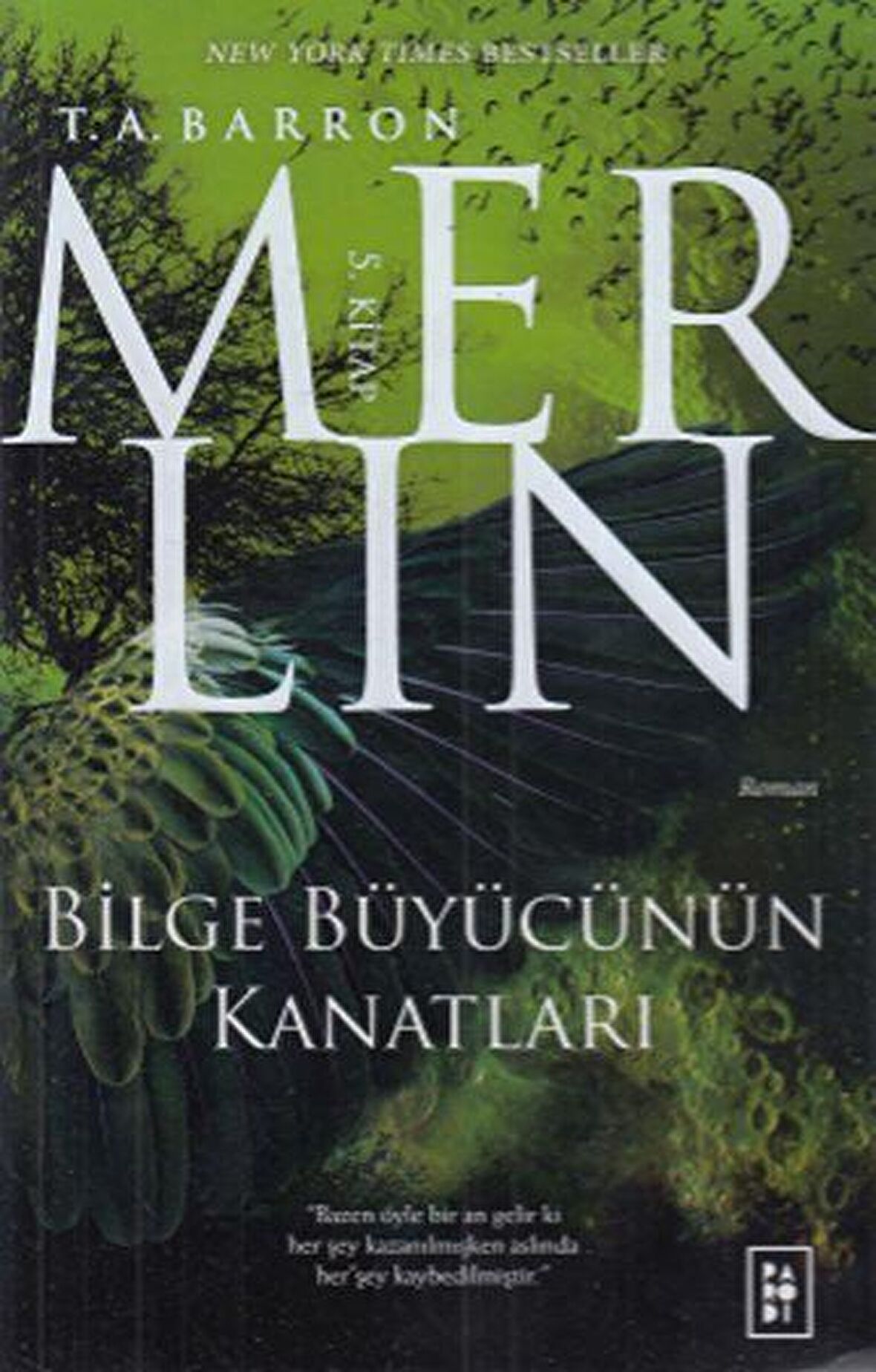 Bilge Büyücünün Kanatları - Merlin