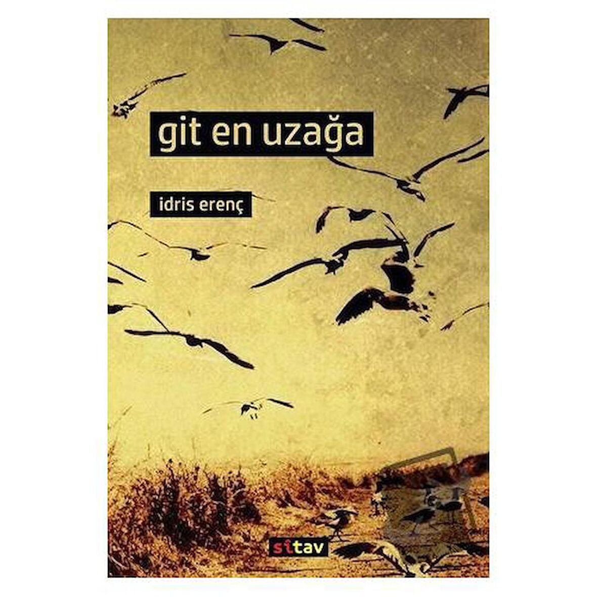 Git En Uzağa