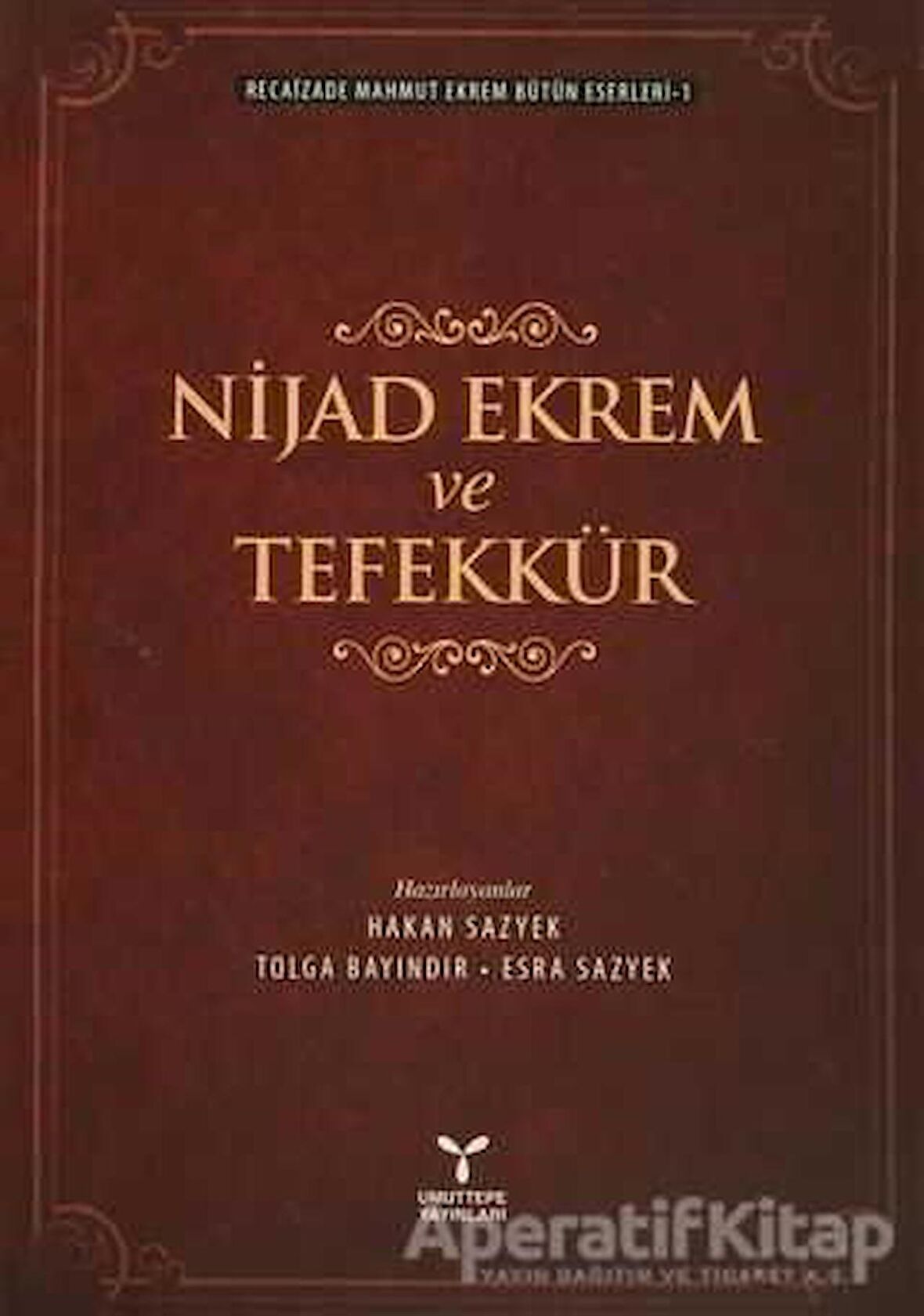 Nijad Ekrem ve Tefekkür