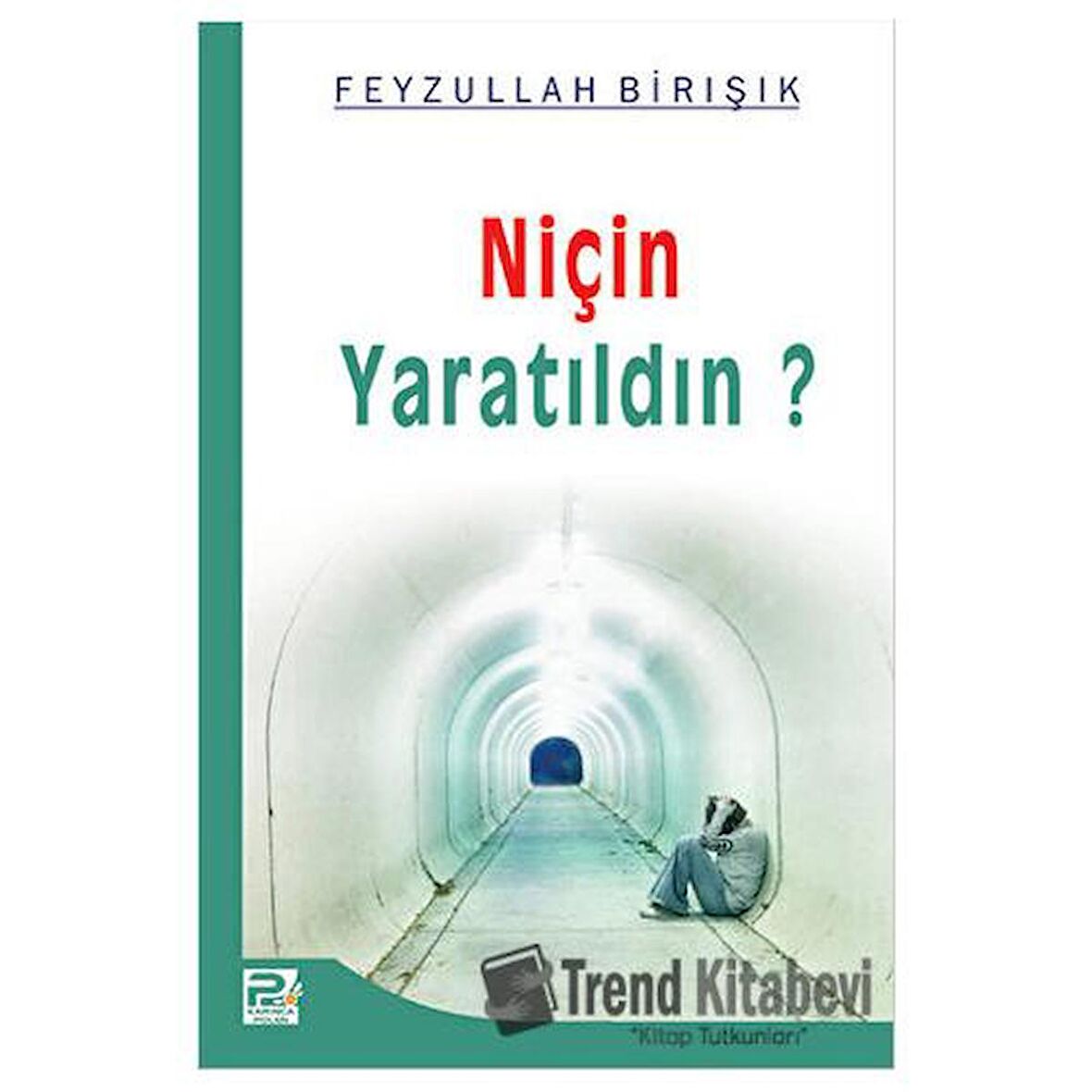 Niçin Yaratıldın?