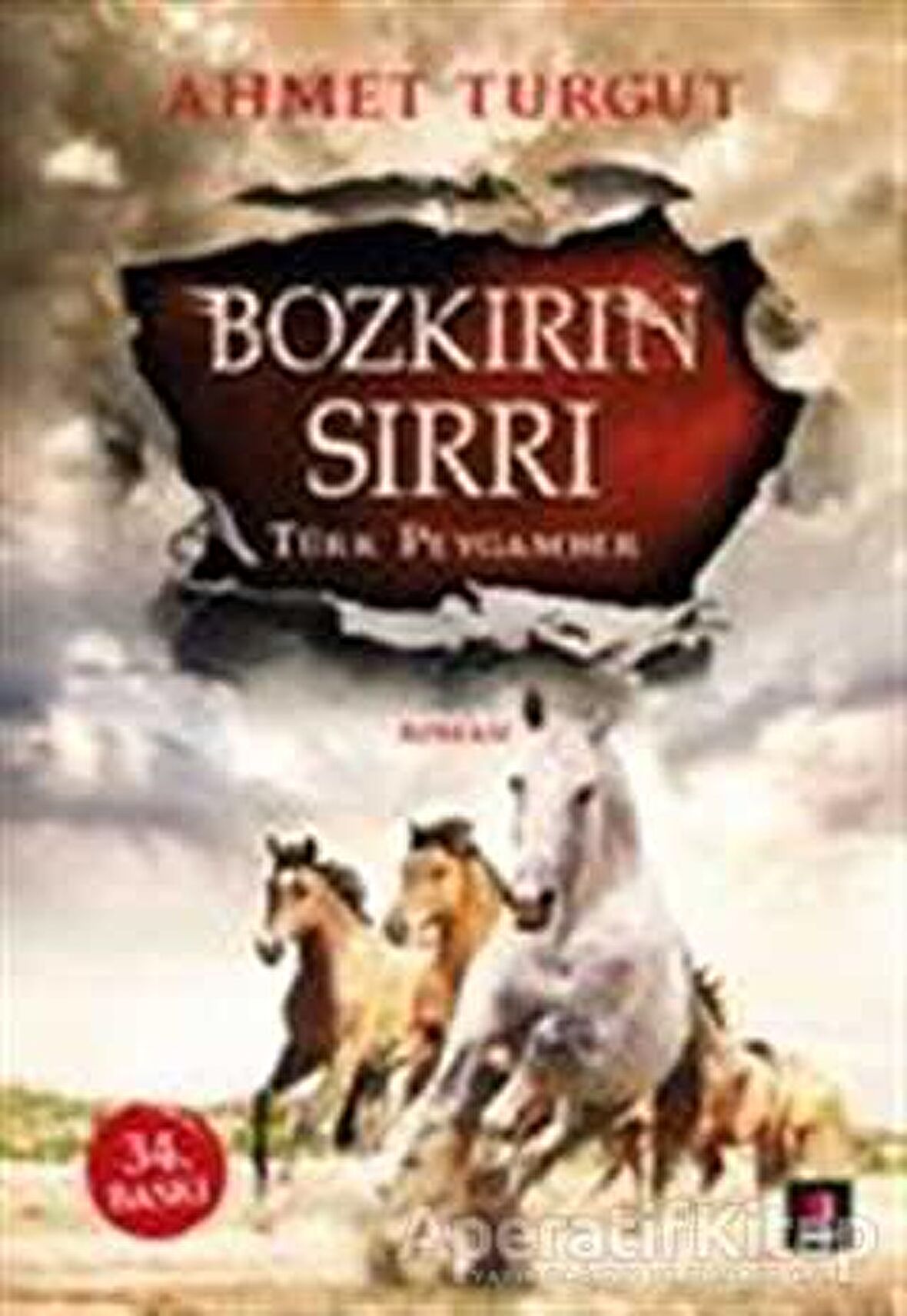 Bozkırın Sırrı : Türk Peygamber