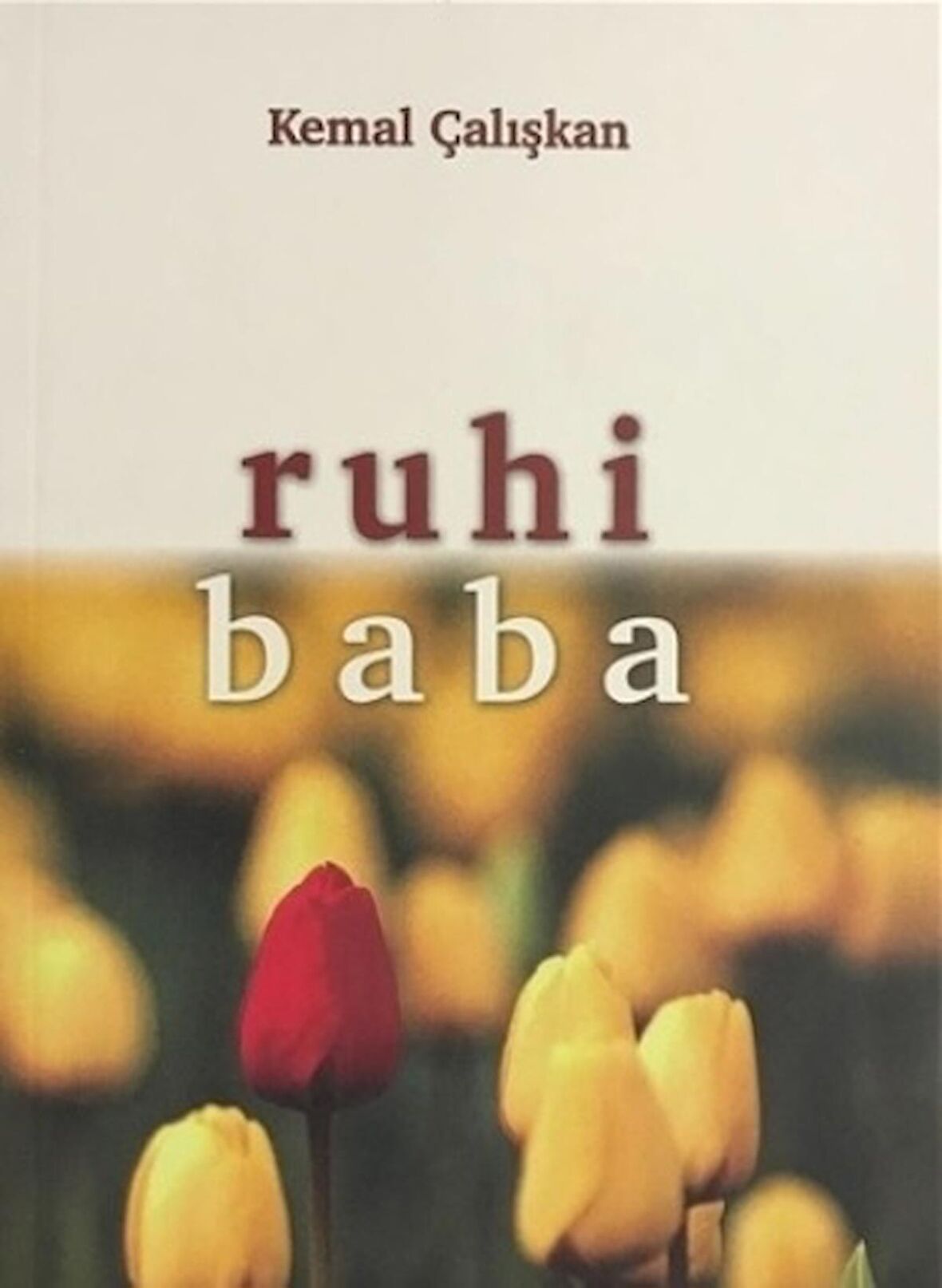 Ruhi Baba