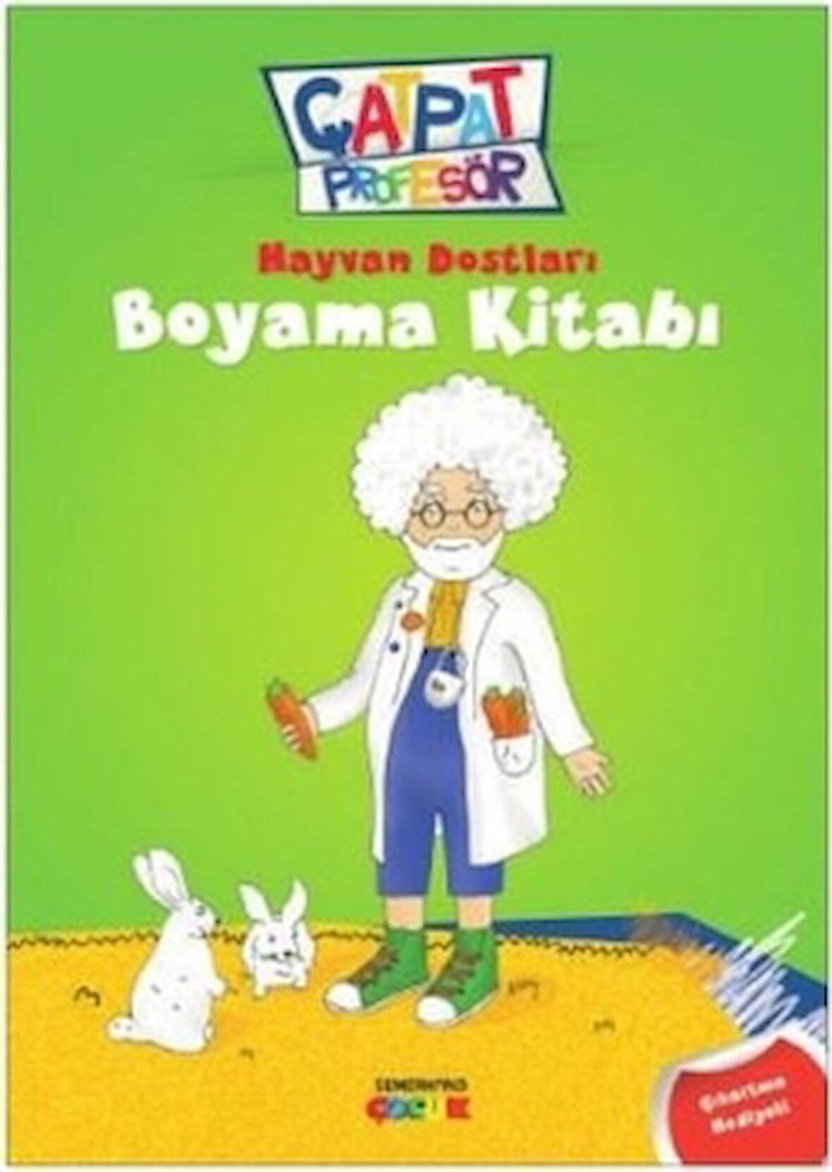 Hayvan Dostları Boyama Kitabı - Çatpat Profesör
