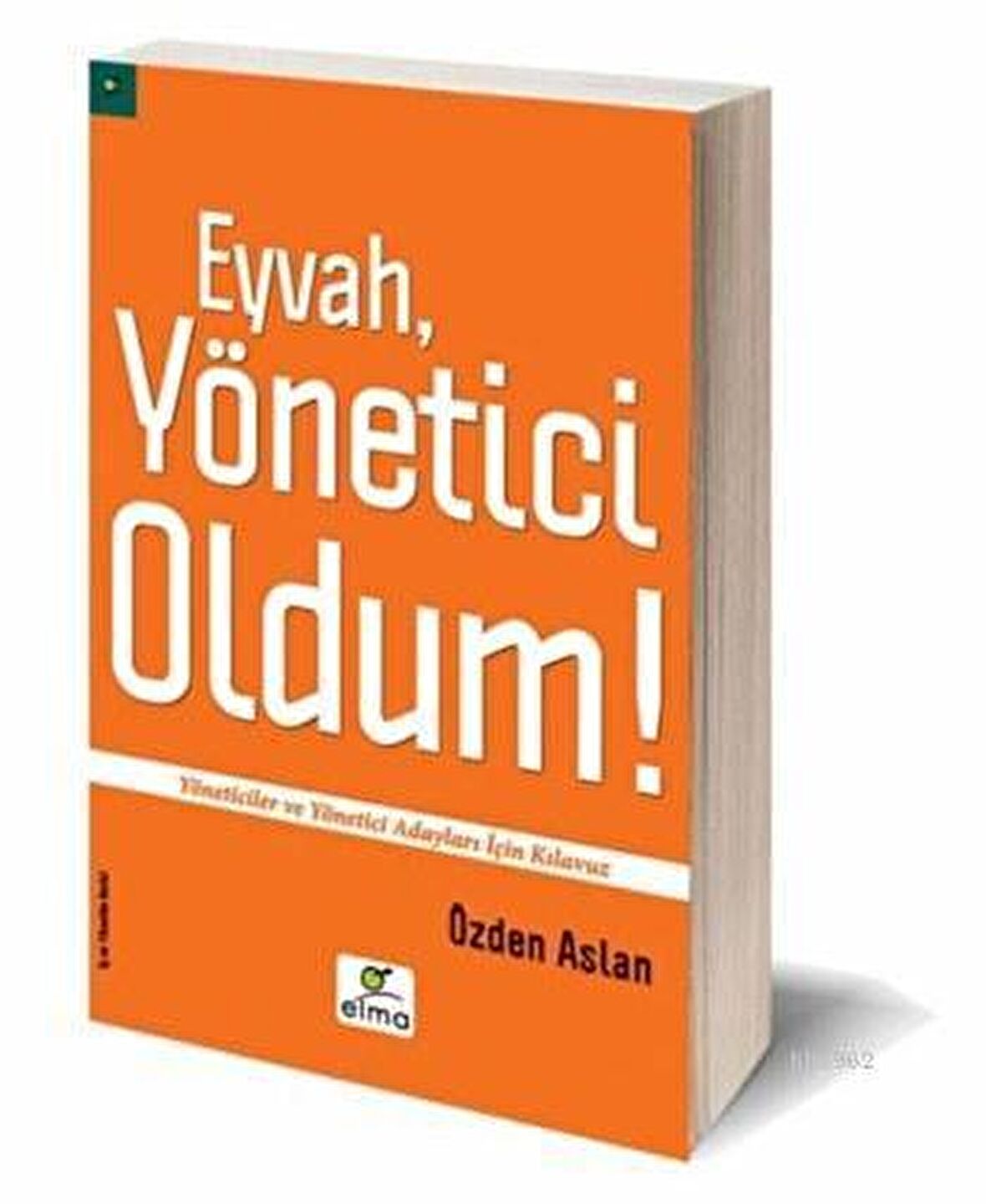 Eyvah, Yönetici Oldum