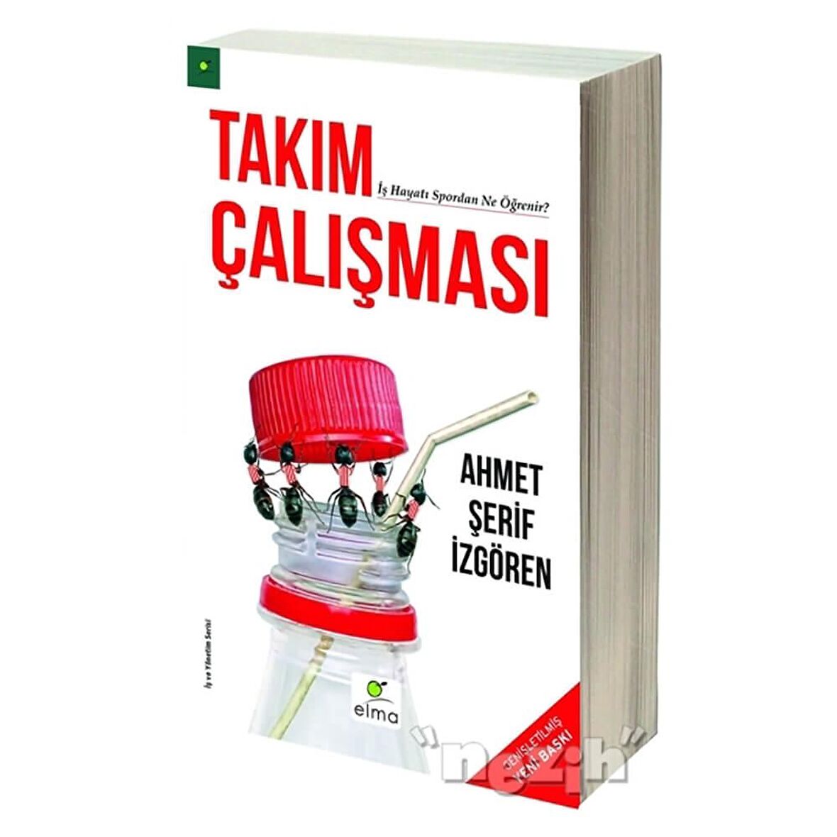 Takım Çalışması