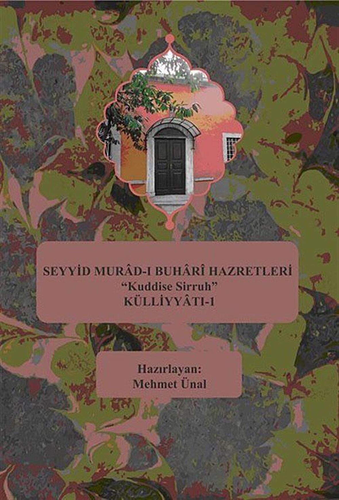 Seyyid Murad-ı Buhari Hazretleri "Kuddise Sirruh" Külliyyatı - 1