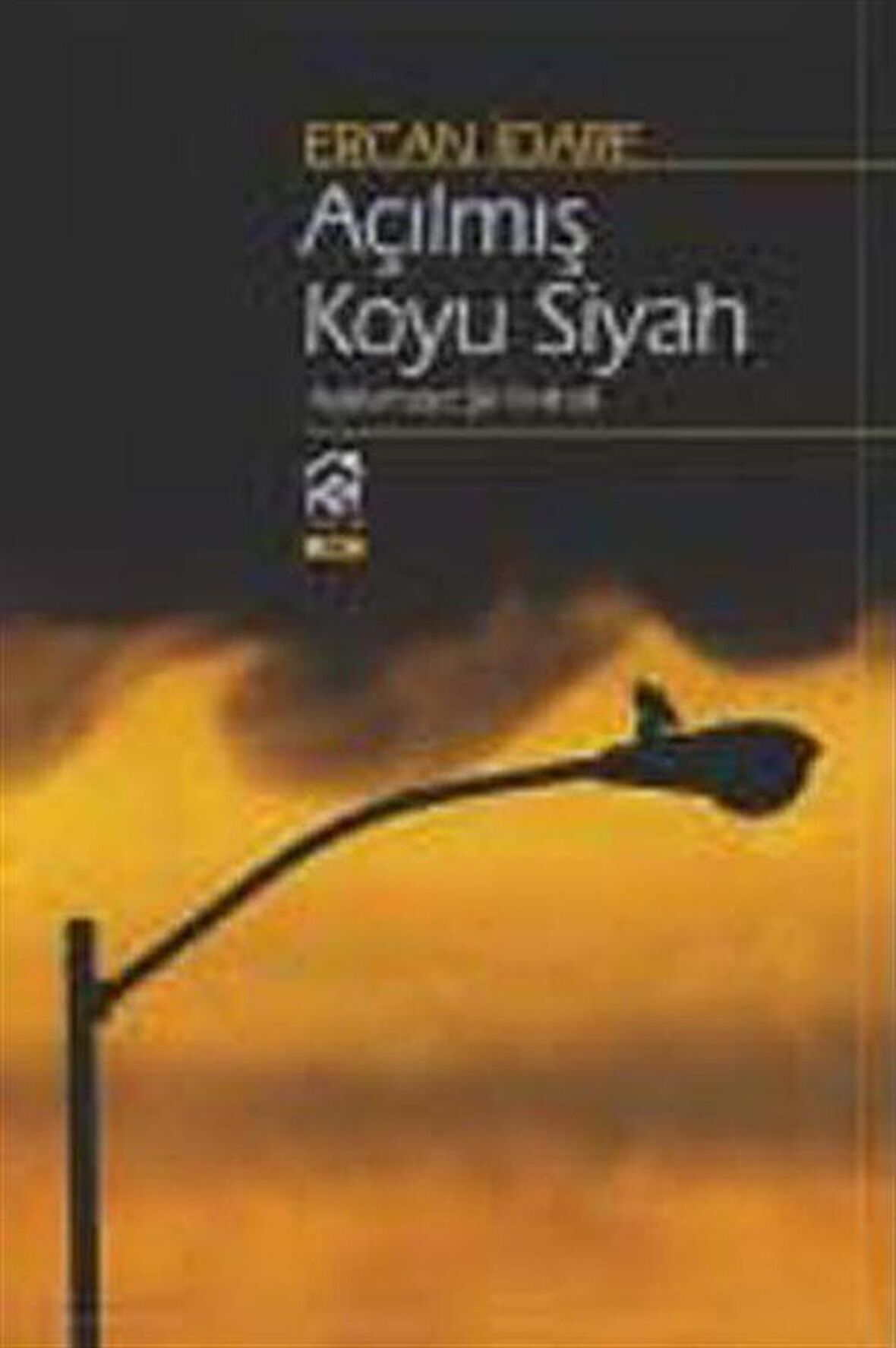 Açılmış Koyu Siyah / Ercan İdare