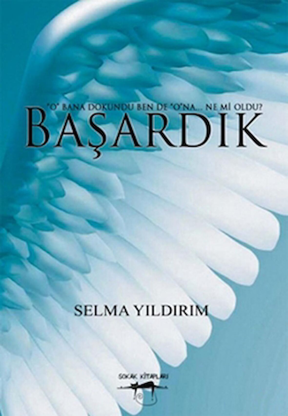 Başardık