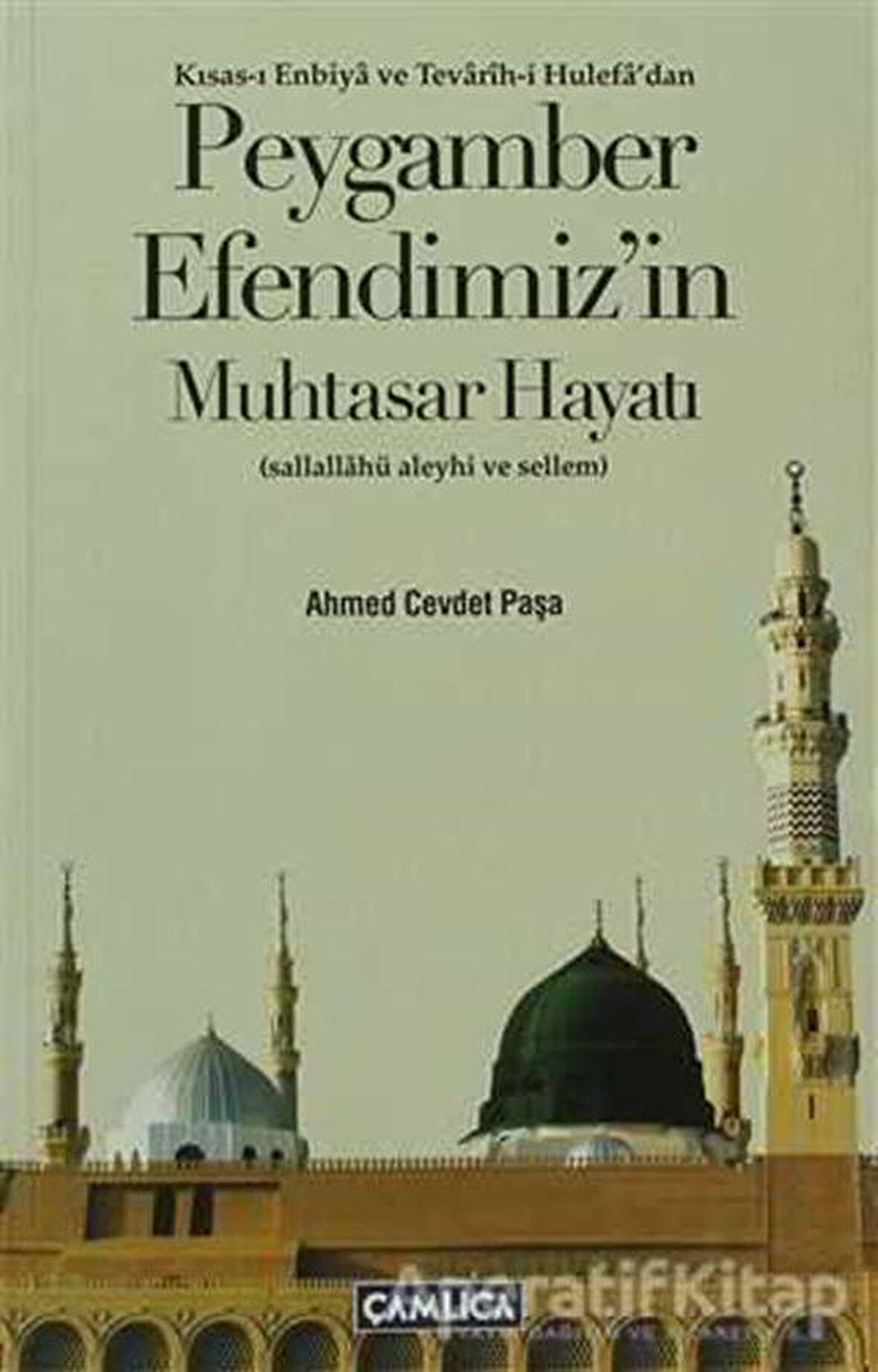 Peygamber Efendimizin Muhtasar Hayatı