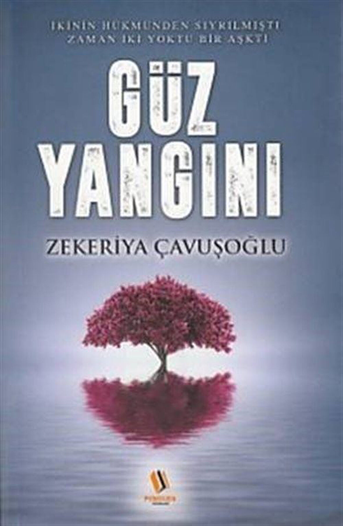 Güz Yangını / Zekeriya Çavuşoğlu