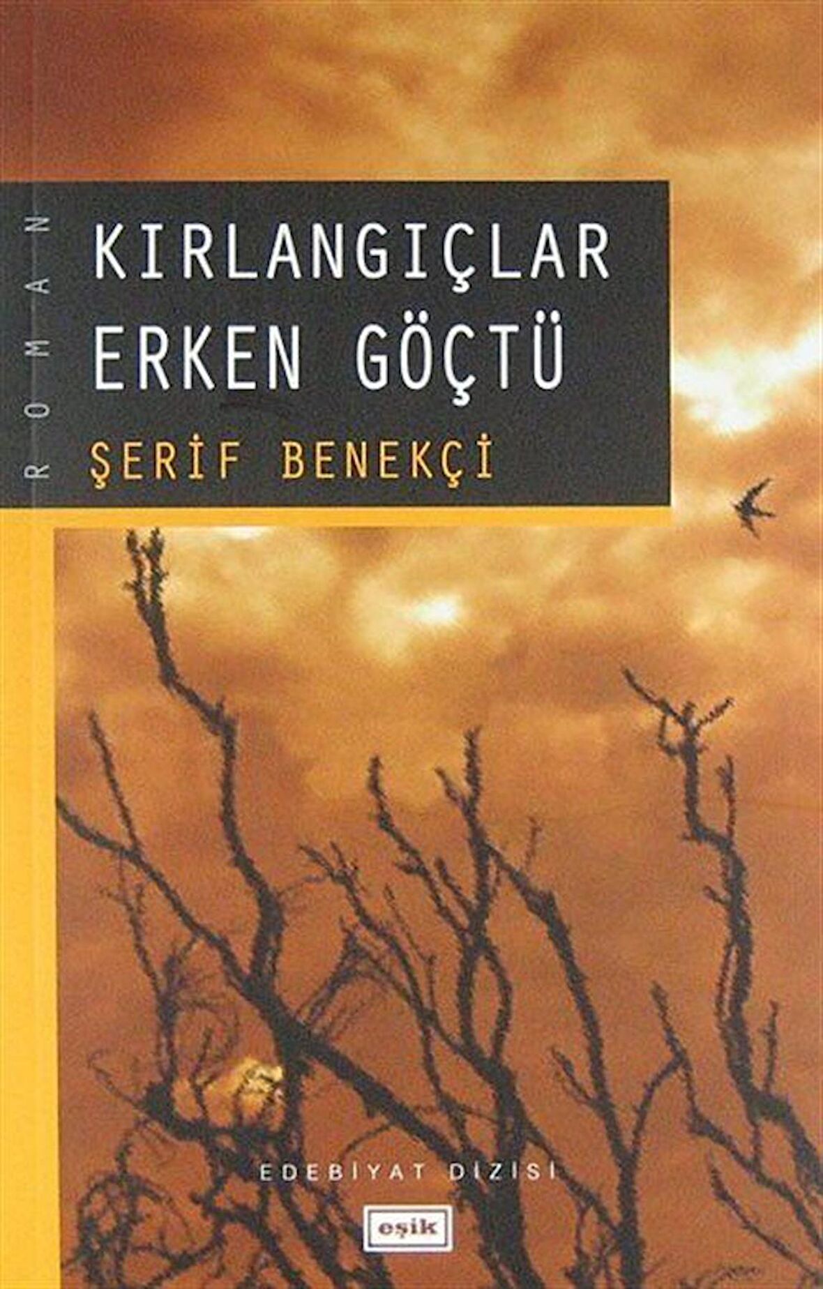 Kırlangıçlar Erken Göçtü