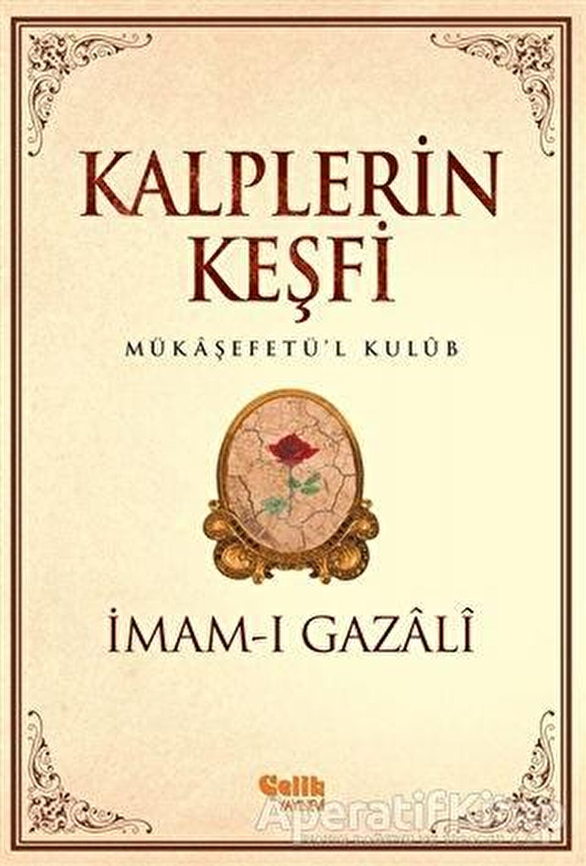 Kalplerin Keşfi