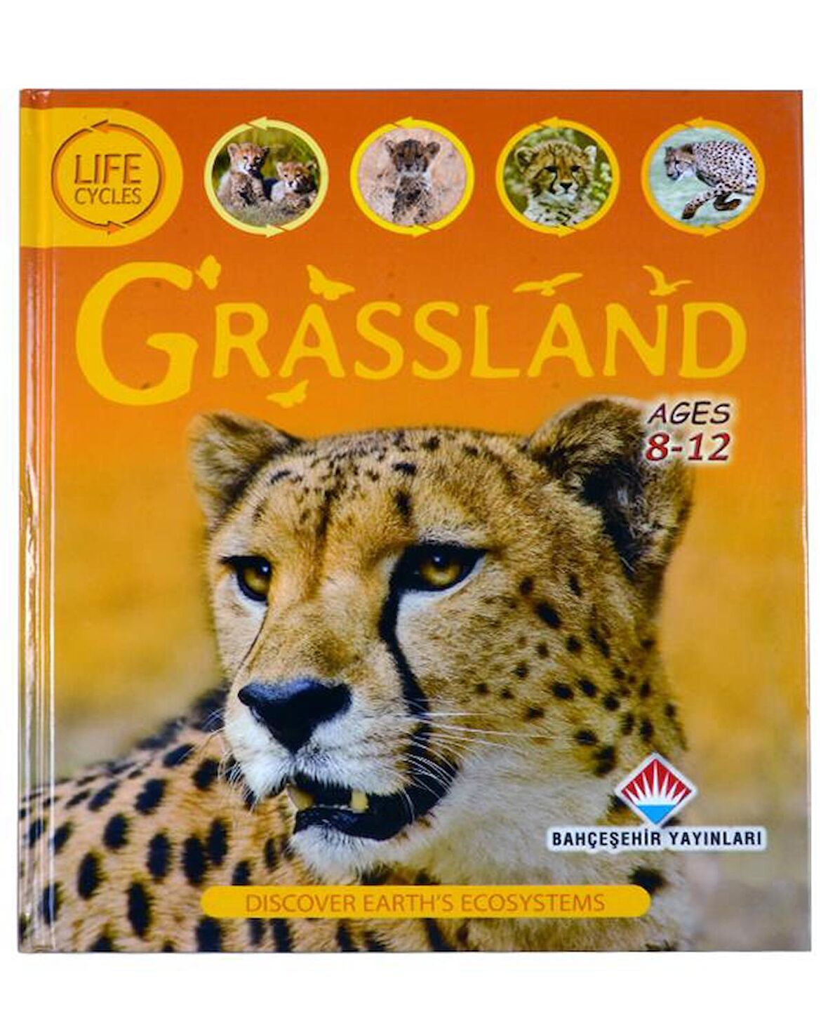 Life Cycles - Grasssland - Sean Callery