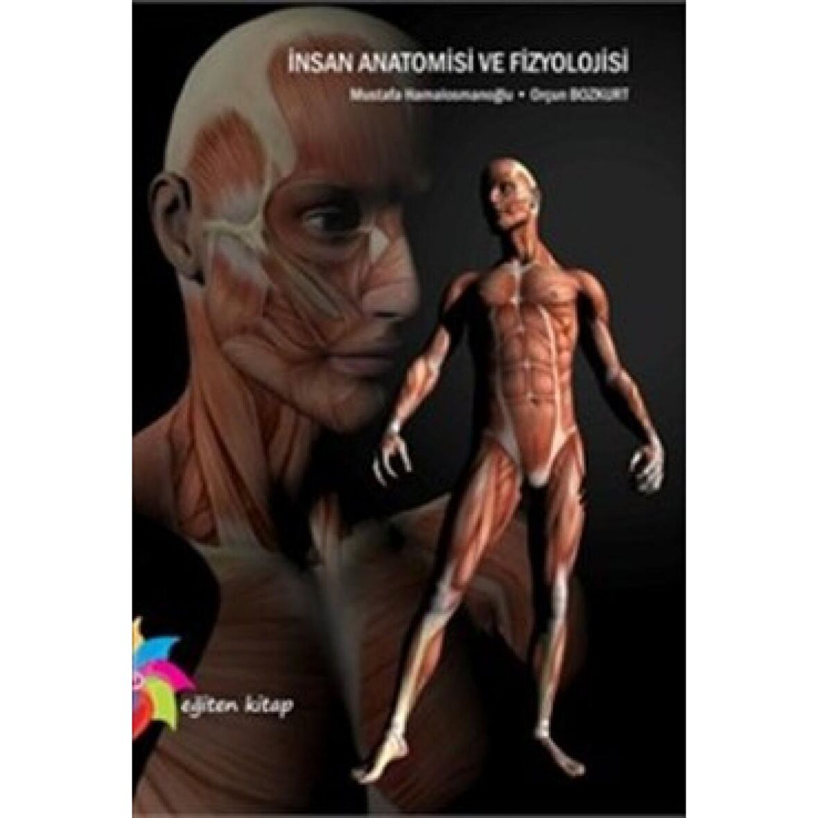 İnsan Anatomisi Ve Fizyolojisi