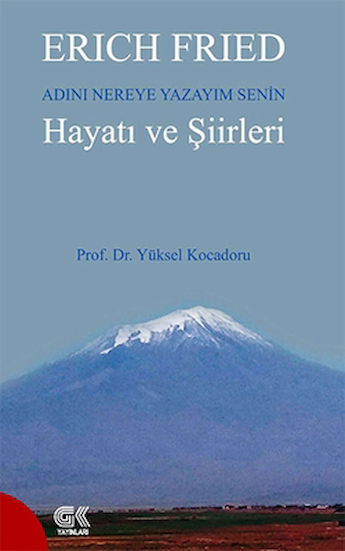 Erich Fried Adını Nereye Yazayım Senin Hayatı ve Şiirleri