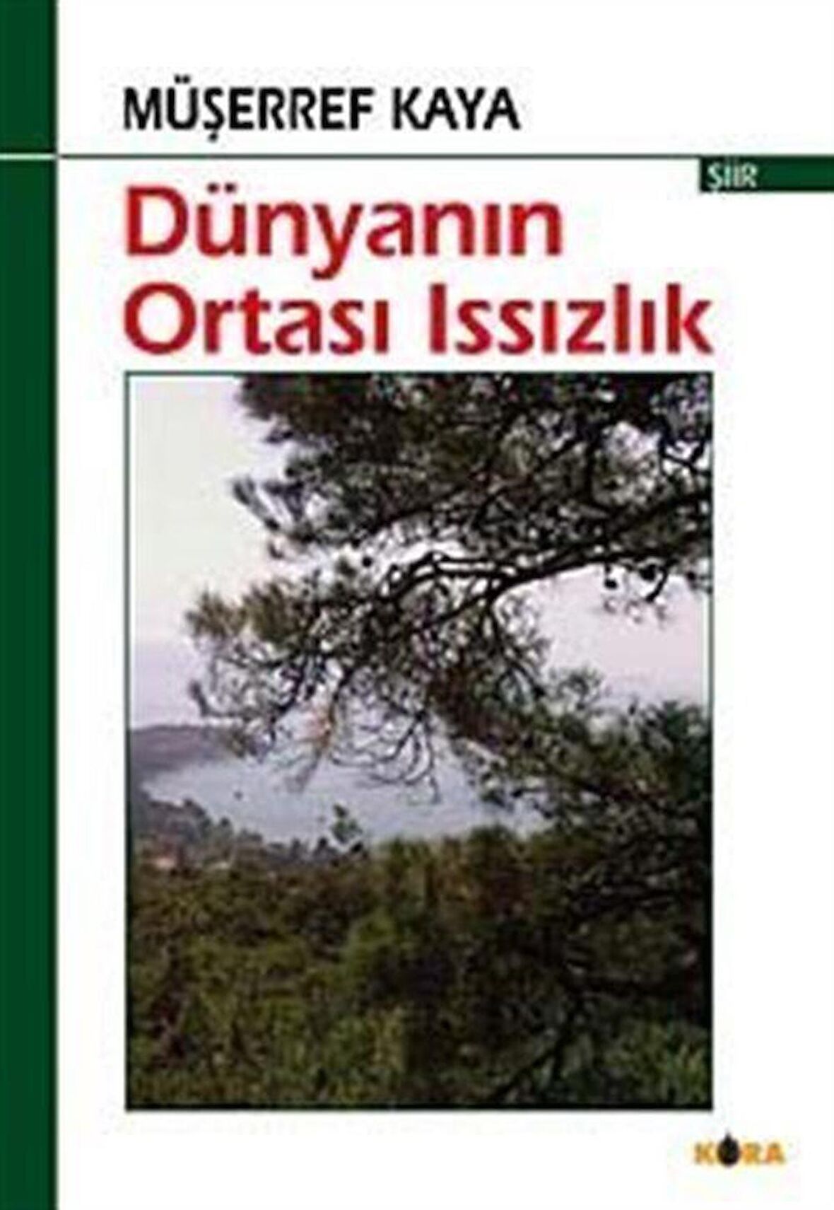 Dünyanın Ortası Issızlık / Müşerref Kaya