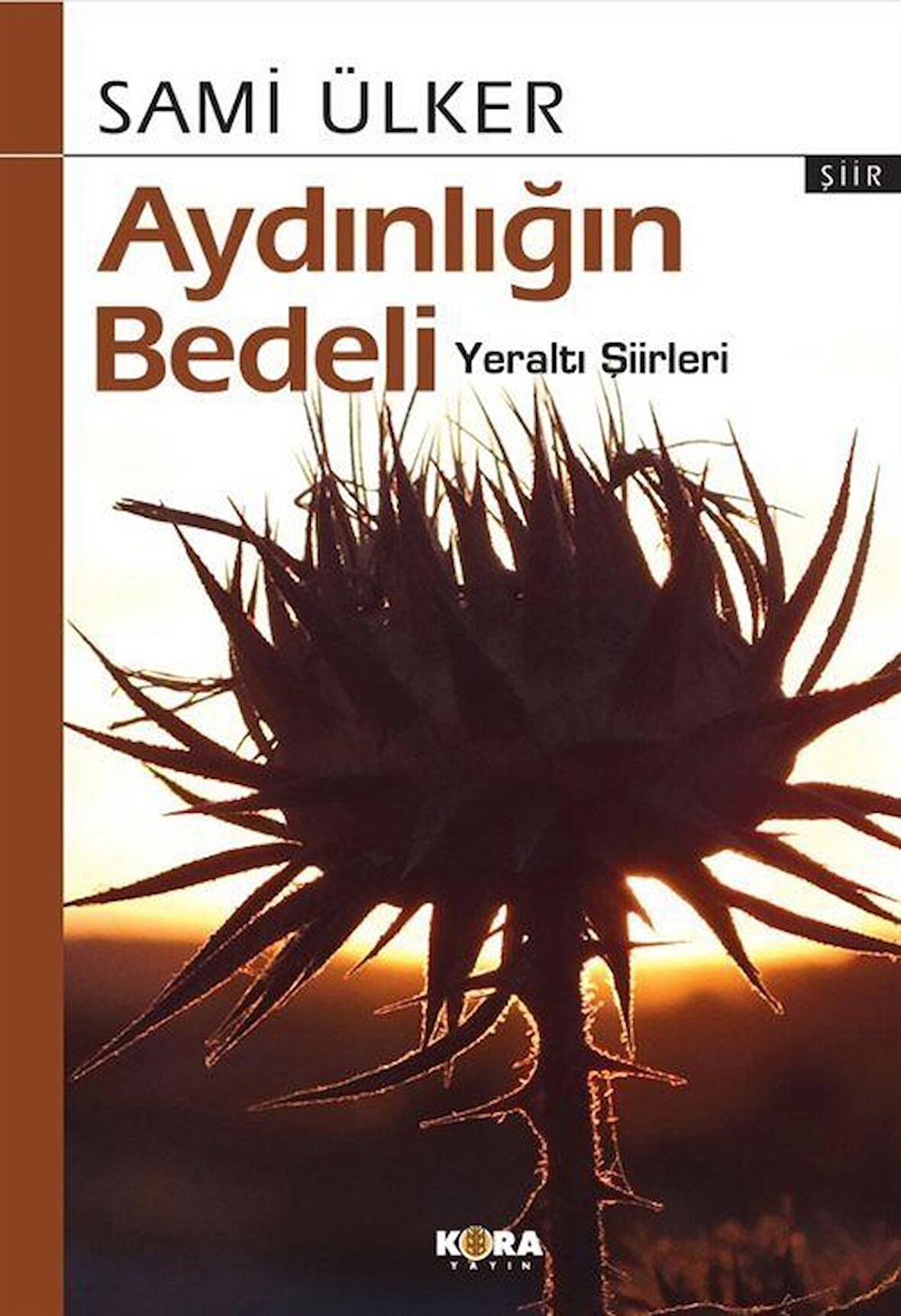 Aydınlığın Bedeli