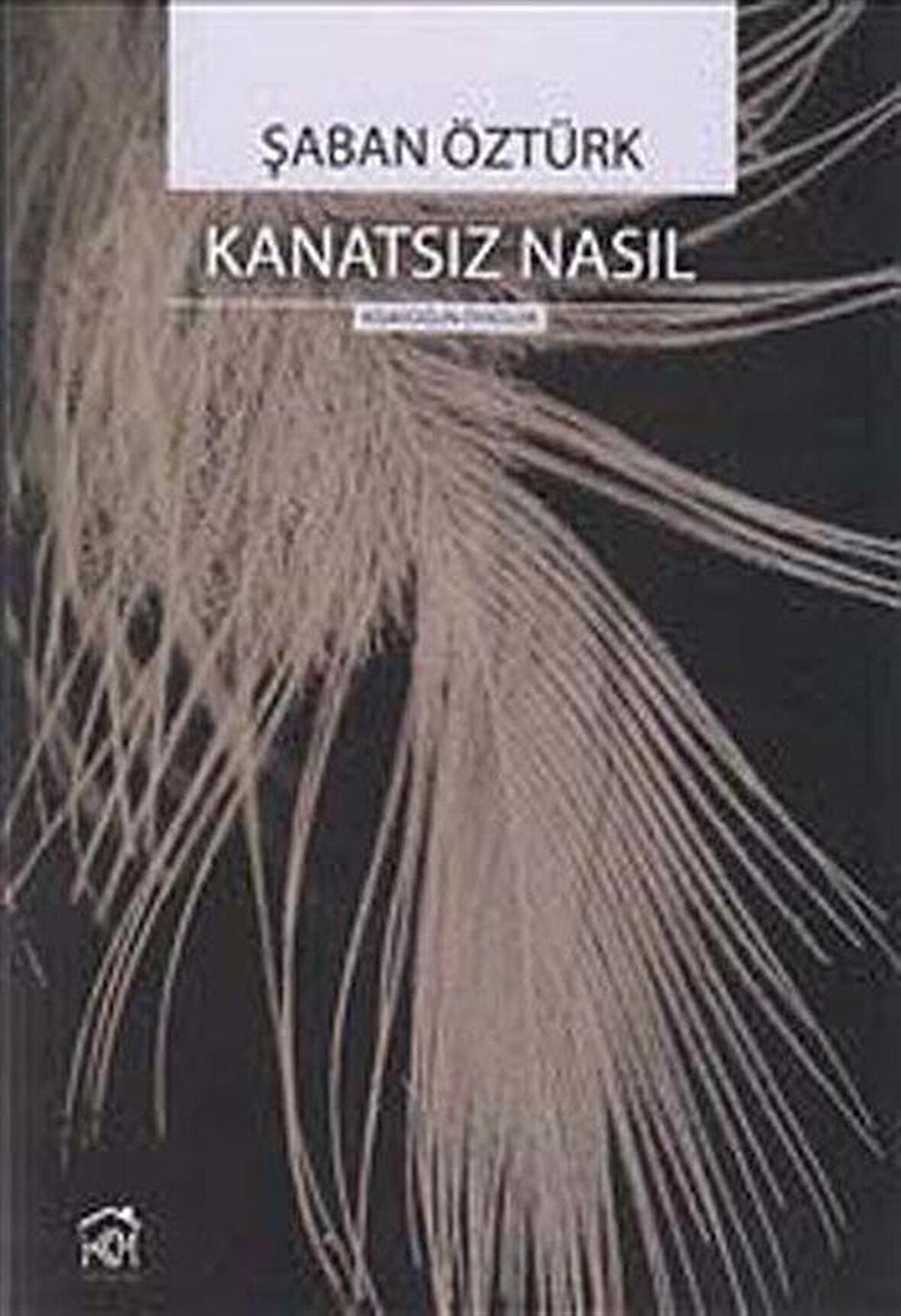 Kanatsız Nasıl