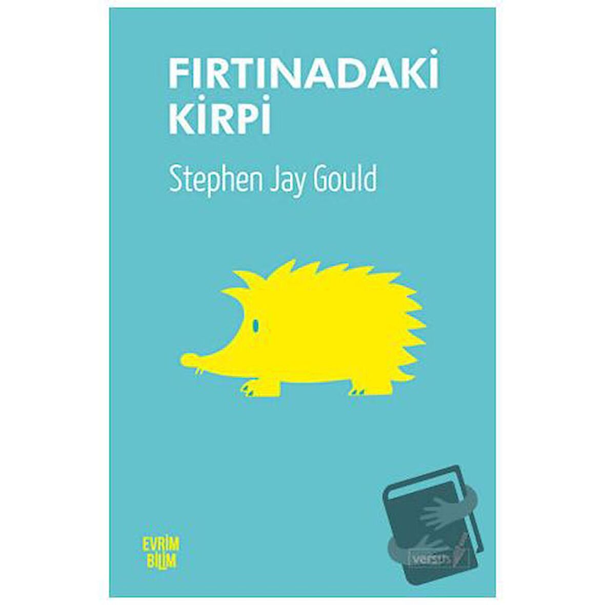 Fırtınadaki Kirpi