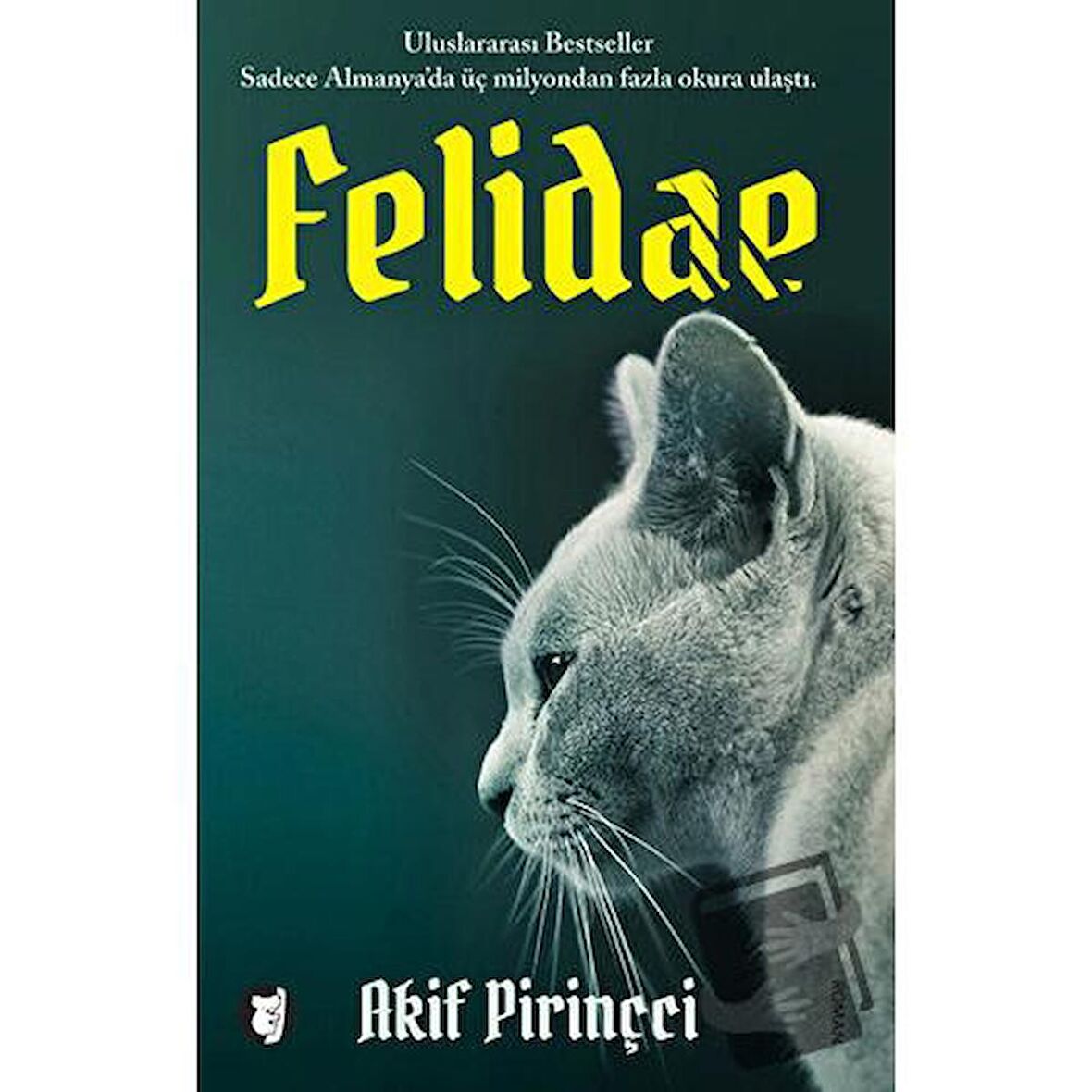 Felidae