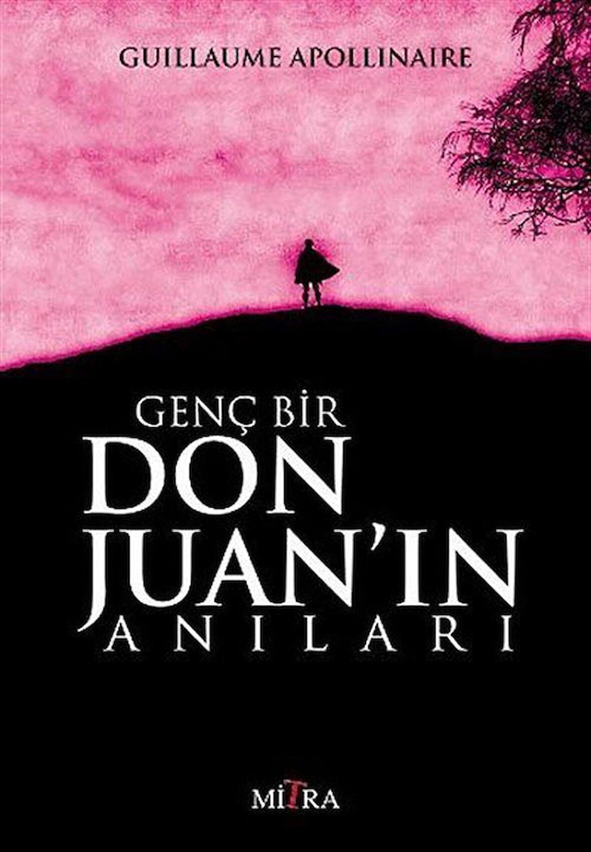 Genç Bir Don Juan'ın Anıları