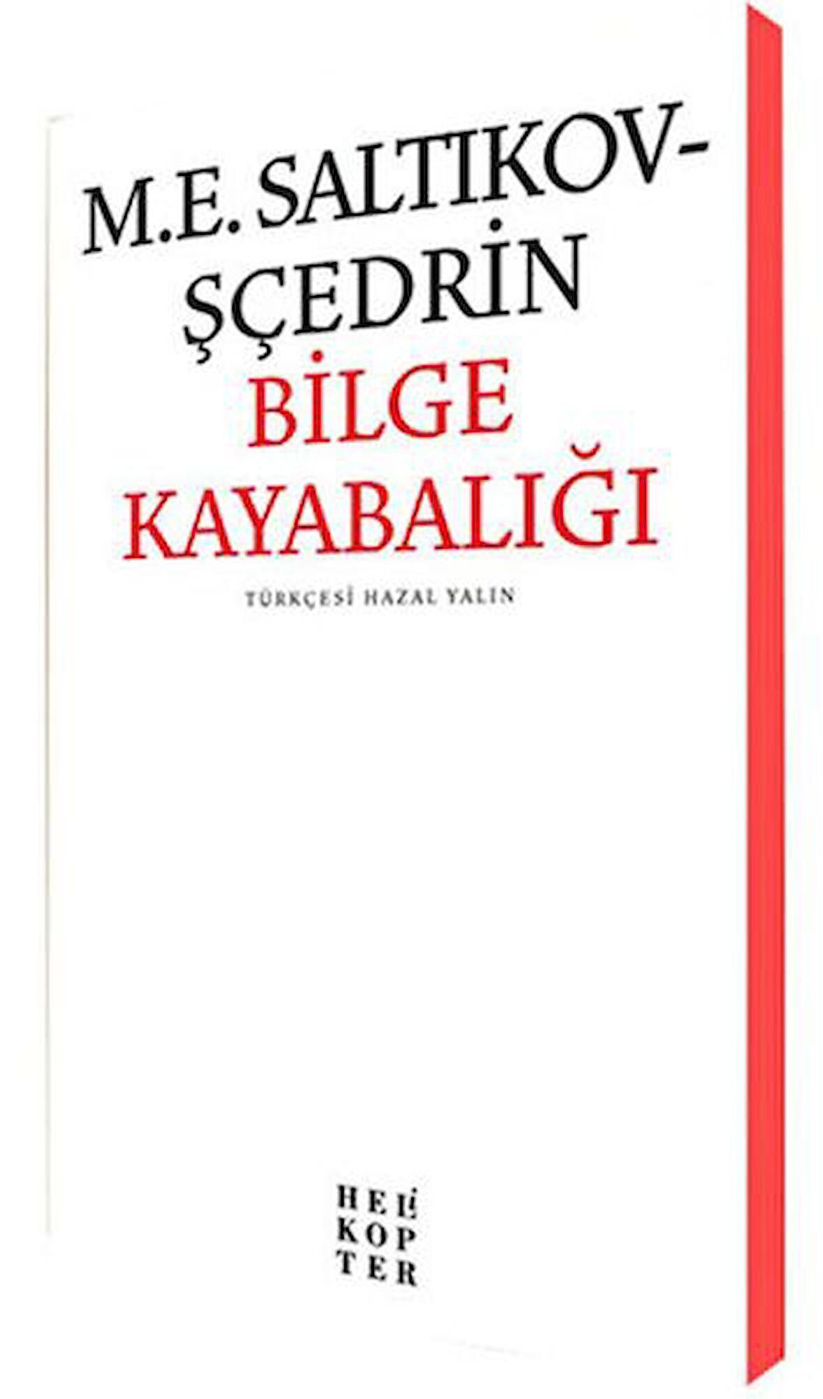 Bilge Kayabalığı