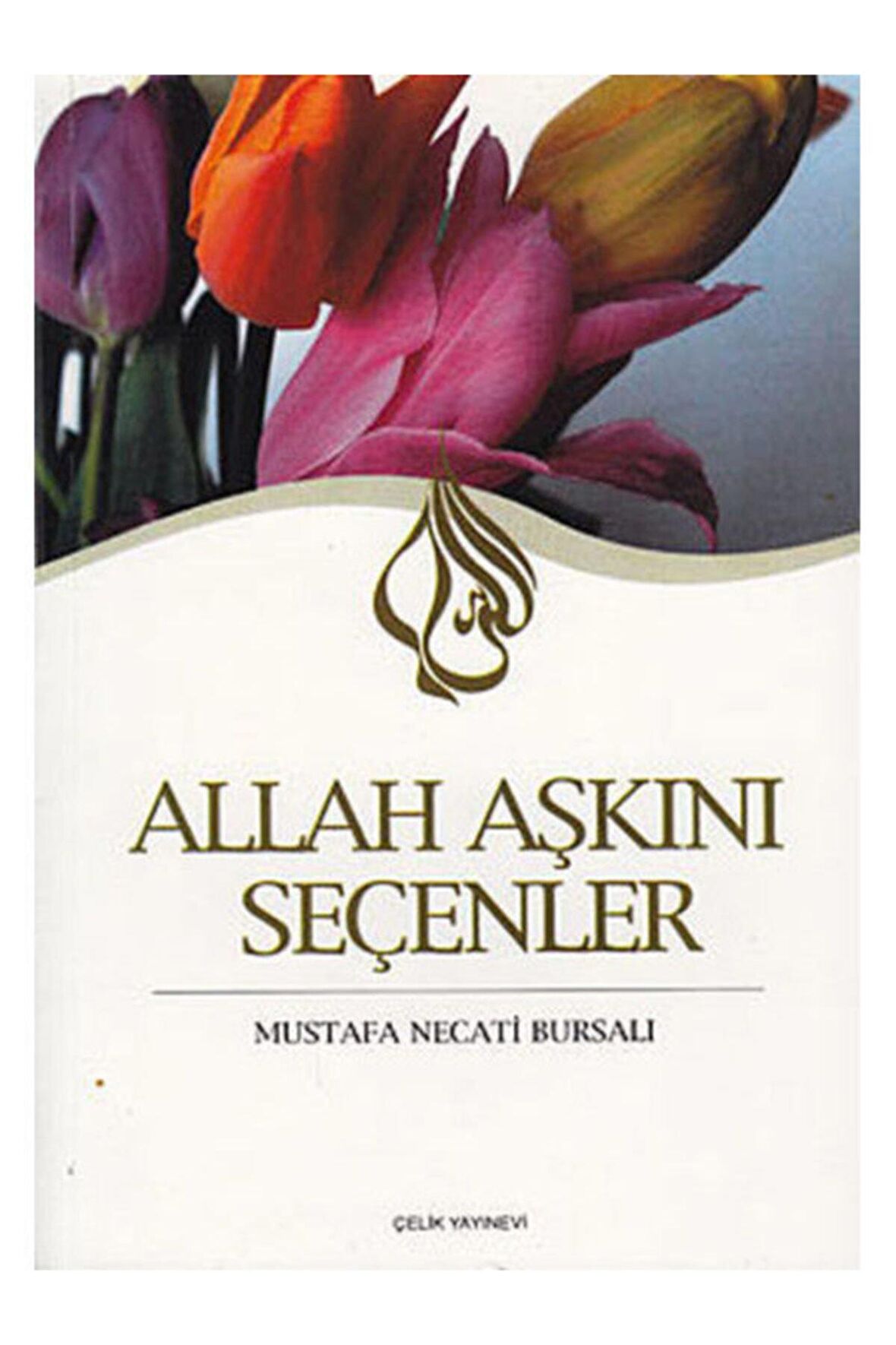 Allah Aşkını Seçenler Mustafa Necati Bursalı