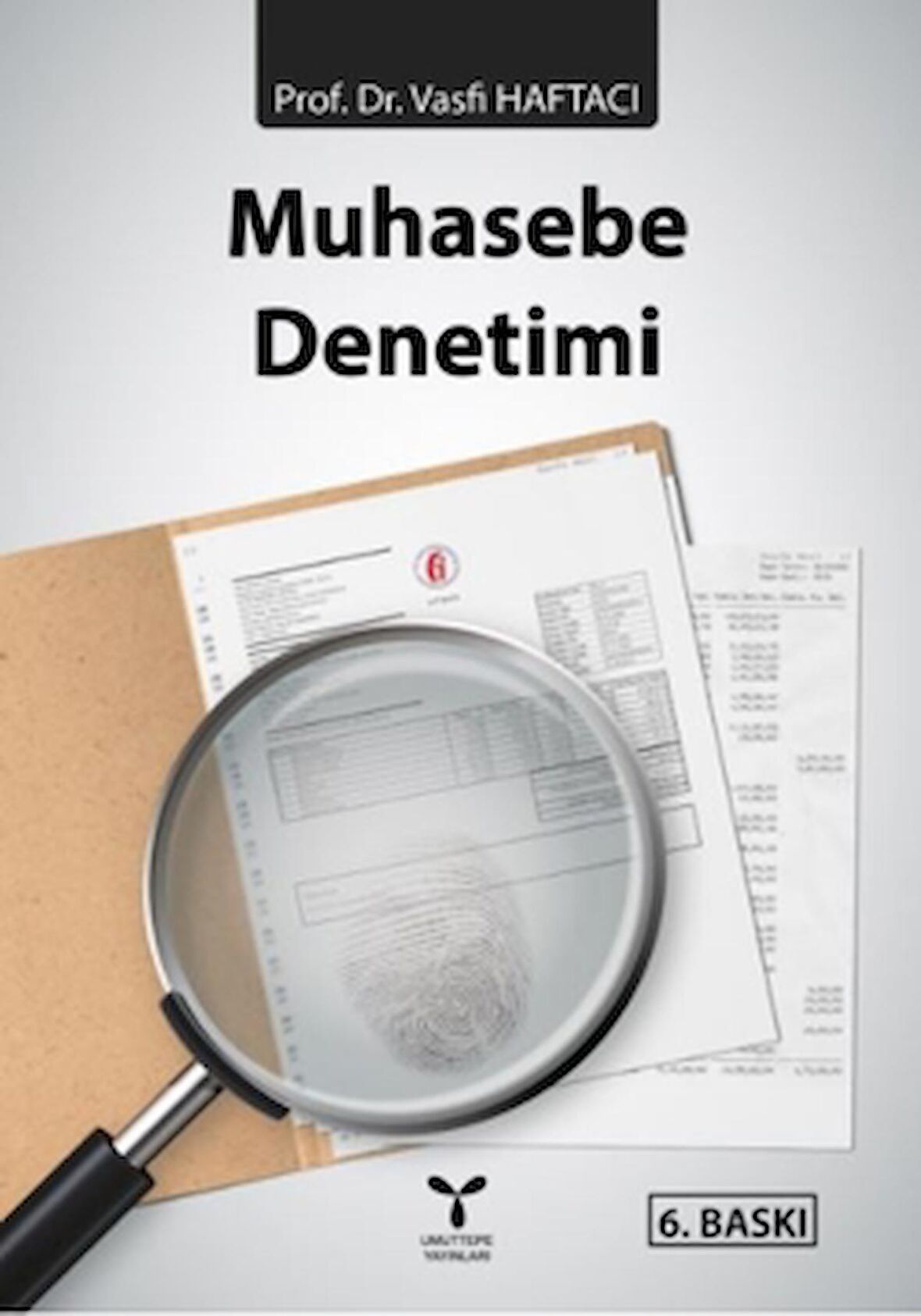 Muhasebe Denetimi