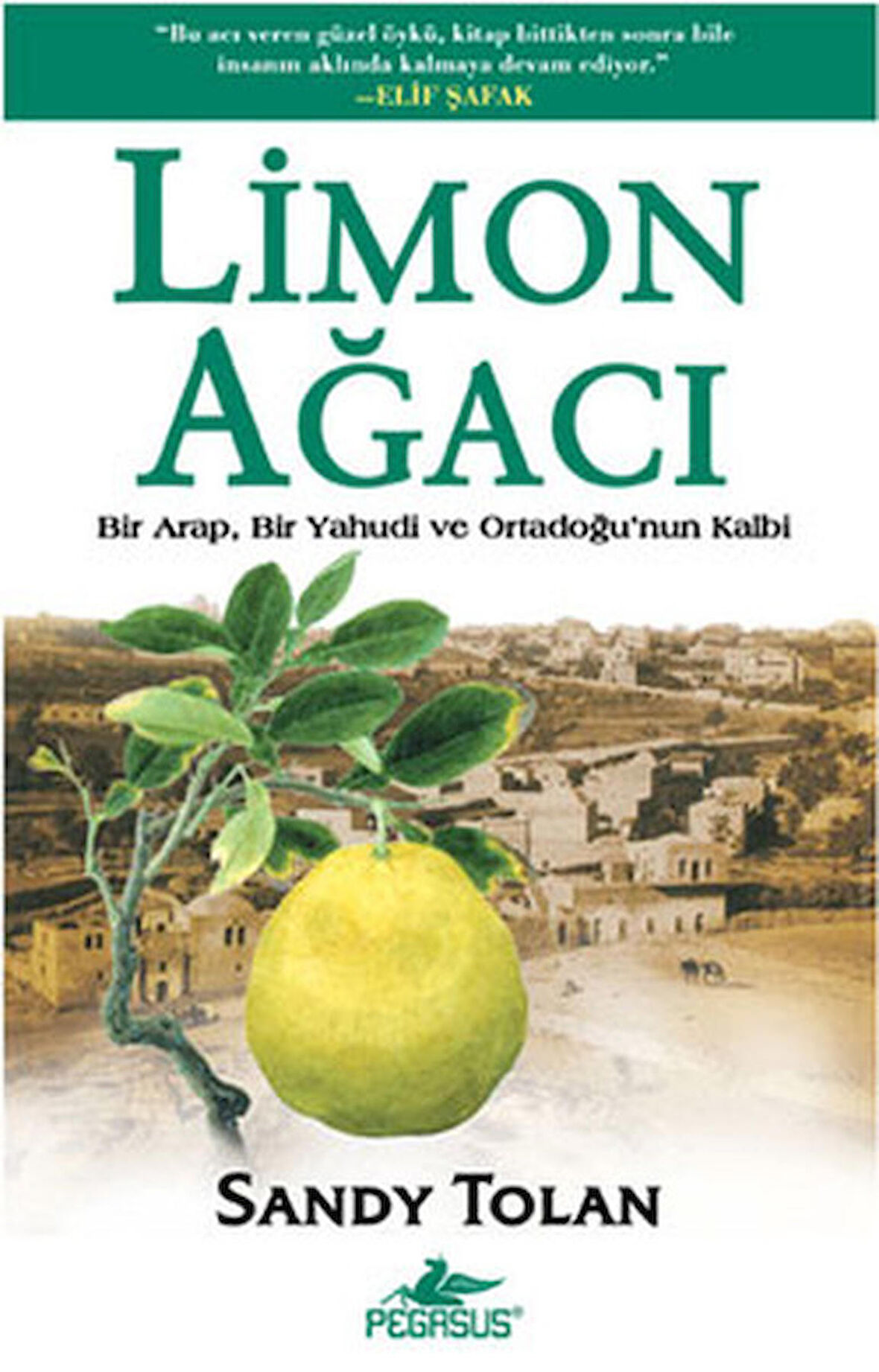 Limon Ağacı