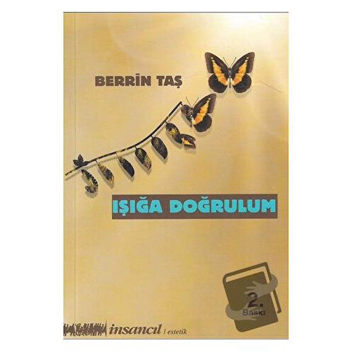 Işığa Doğrulum