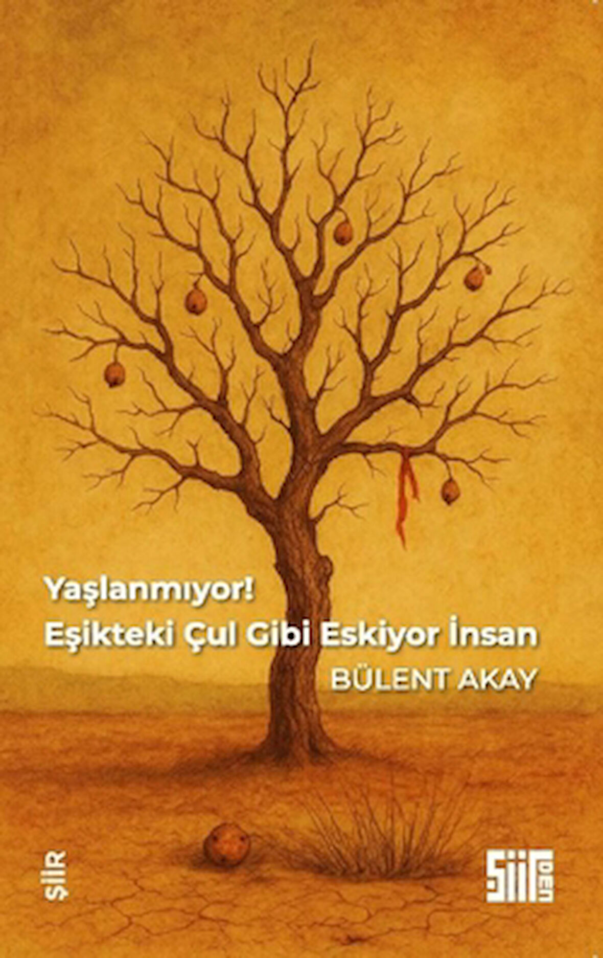 Yaşlanmıyor, Eşikteki Çul Gibi Eskiyor İnsan