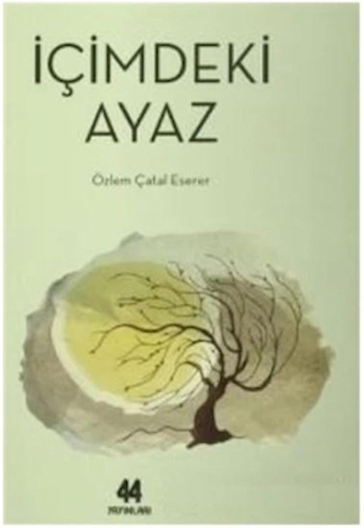 İçimdeki Ayaz