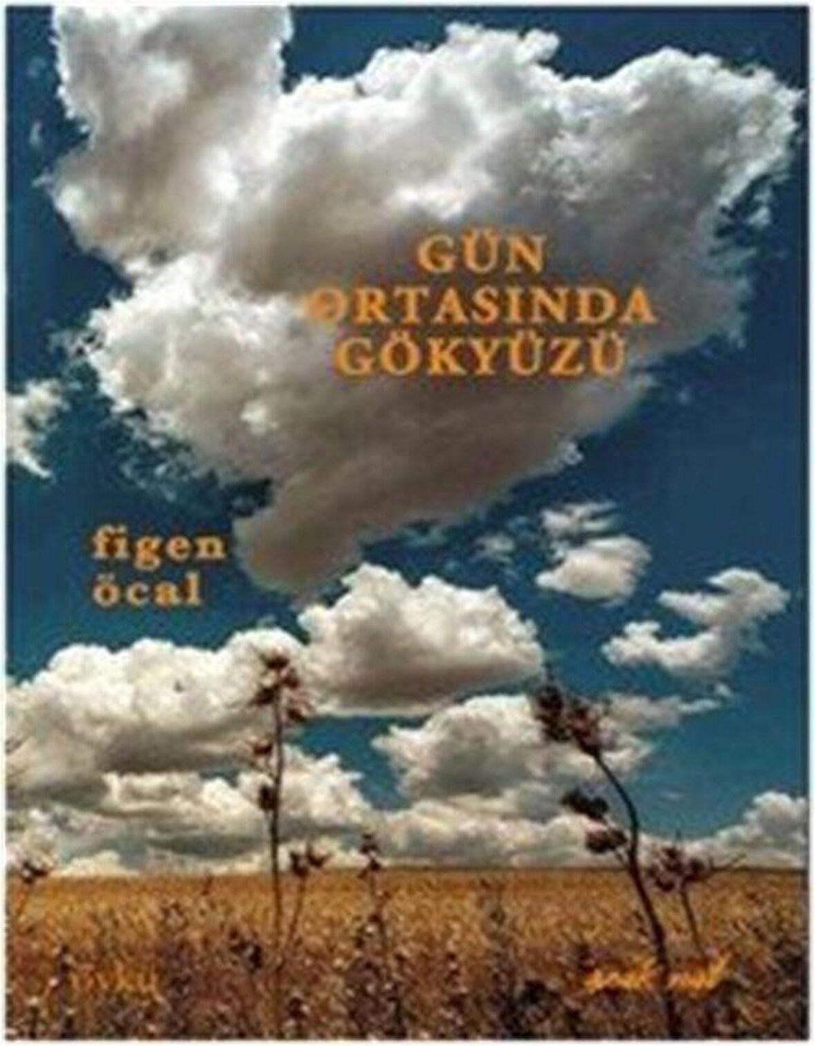 Gün Ortasında Gökyüzü / Figen Öcal