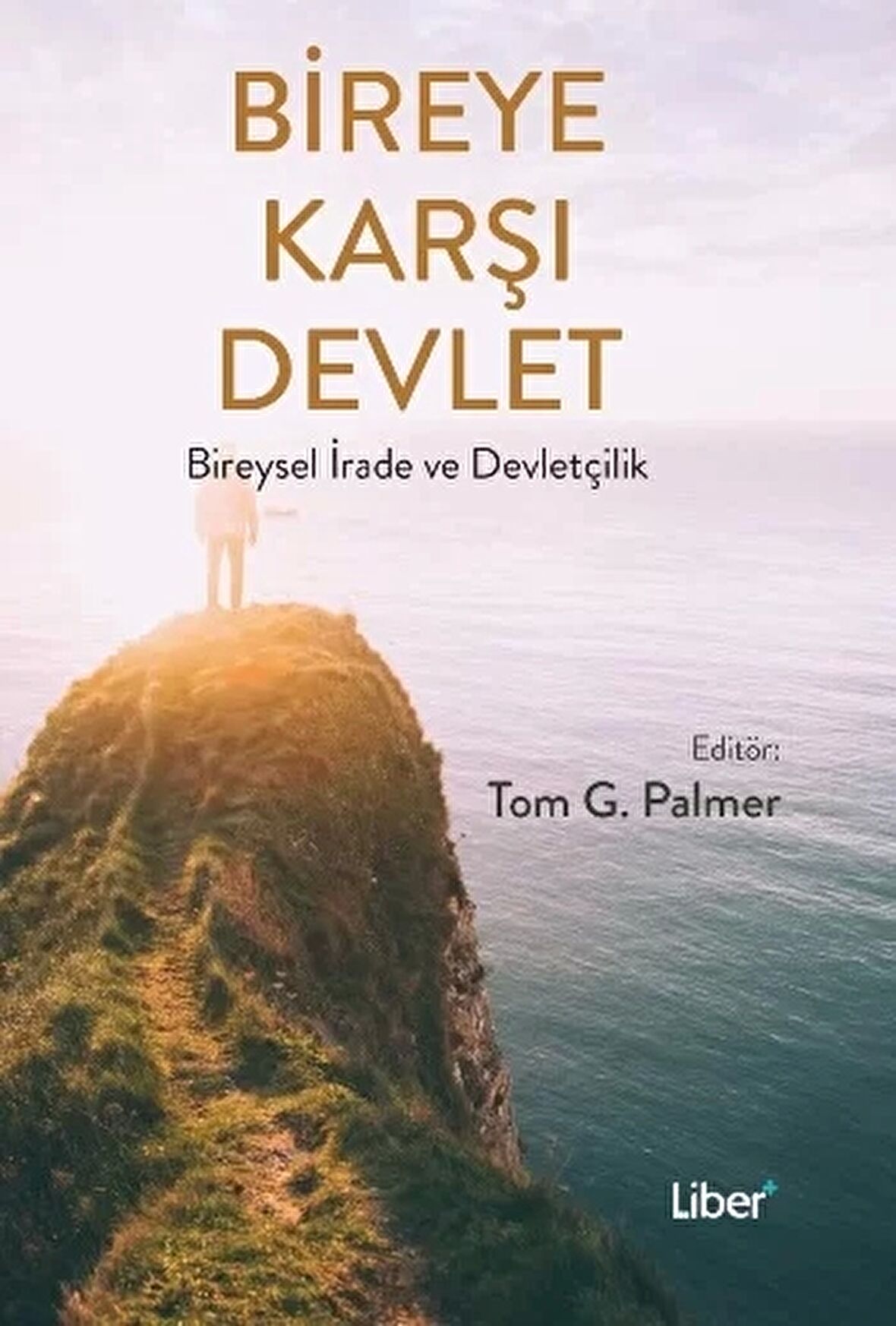 Bireye Karşı Devlet