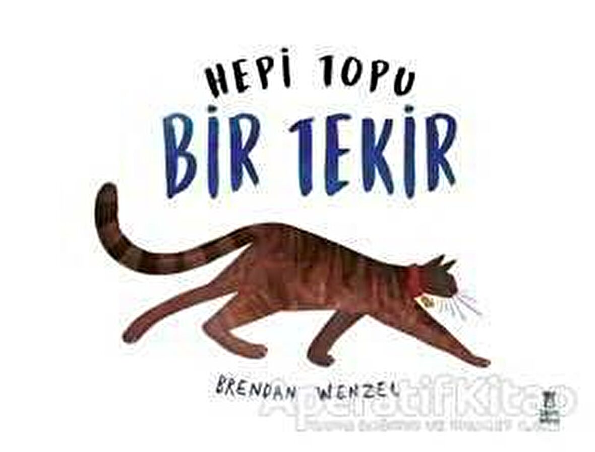 Hepi Topu Bir Tekir