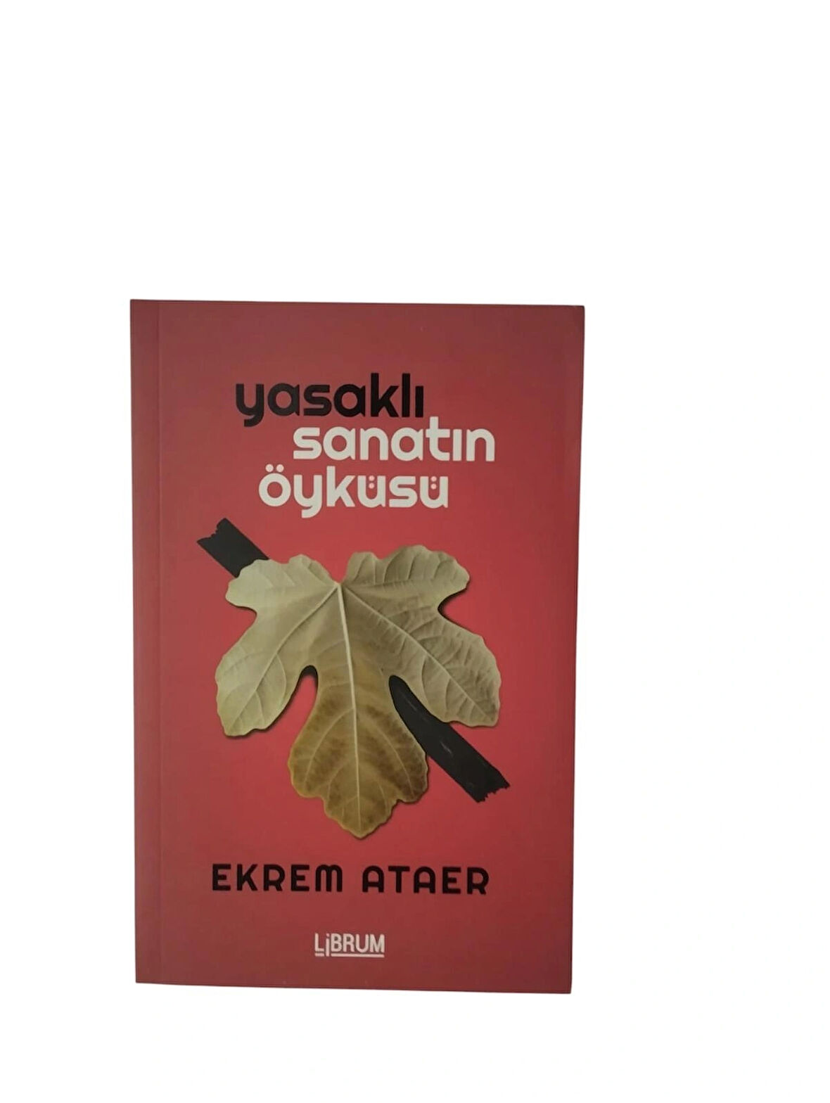 Yasaklı Sanatın Öyküsü