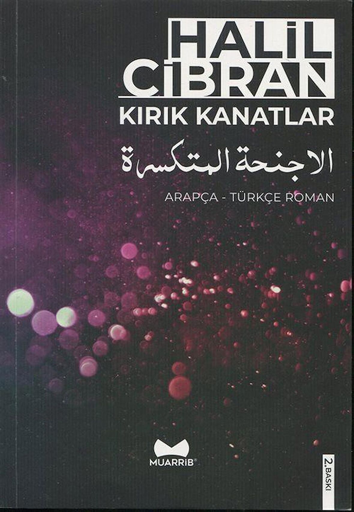 Kırık Kanatlar