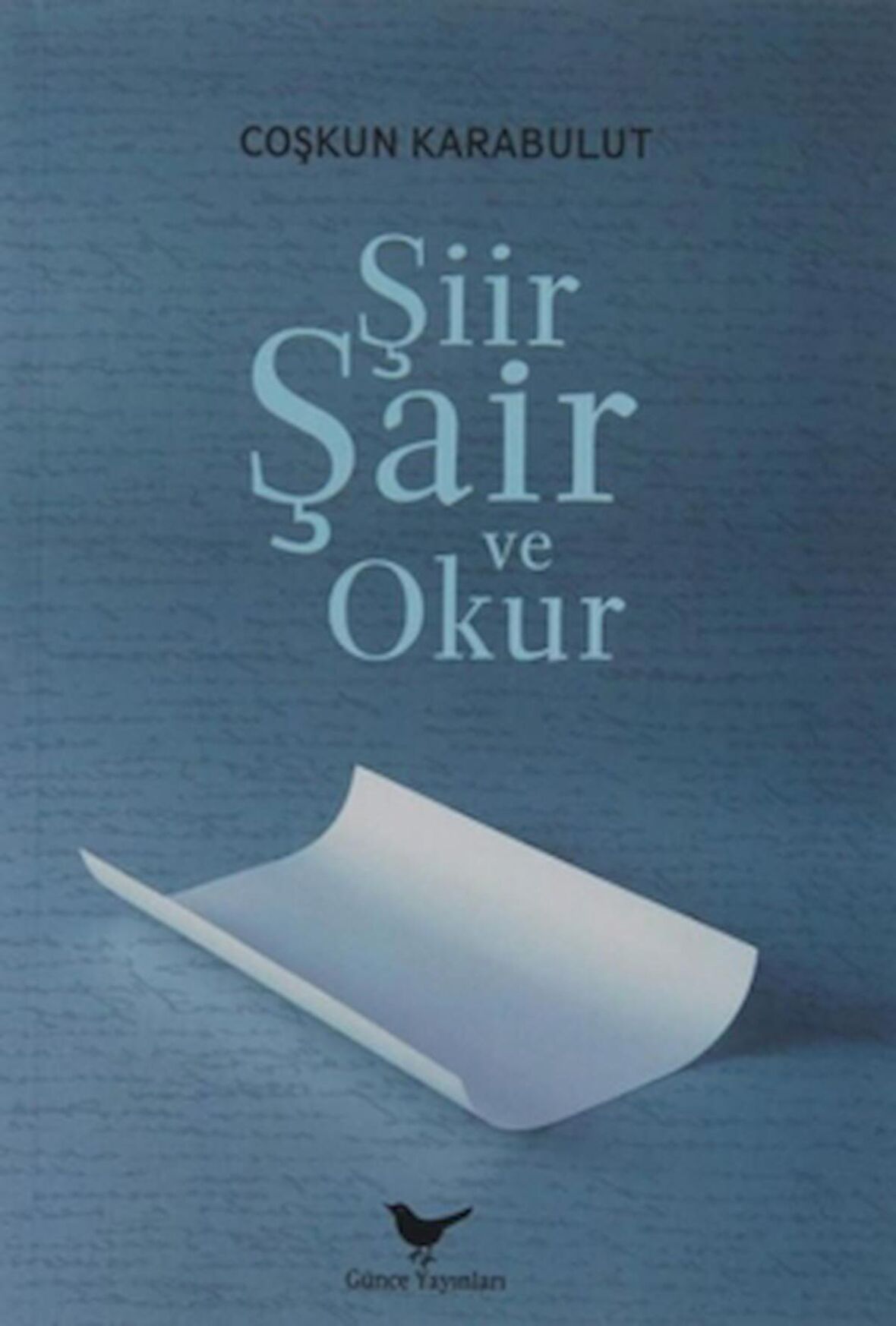 Şiir, Şair ve Okur