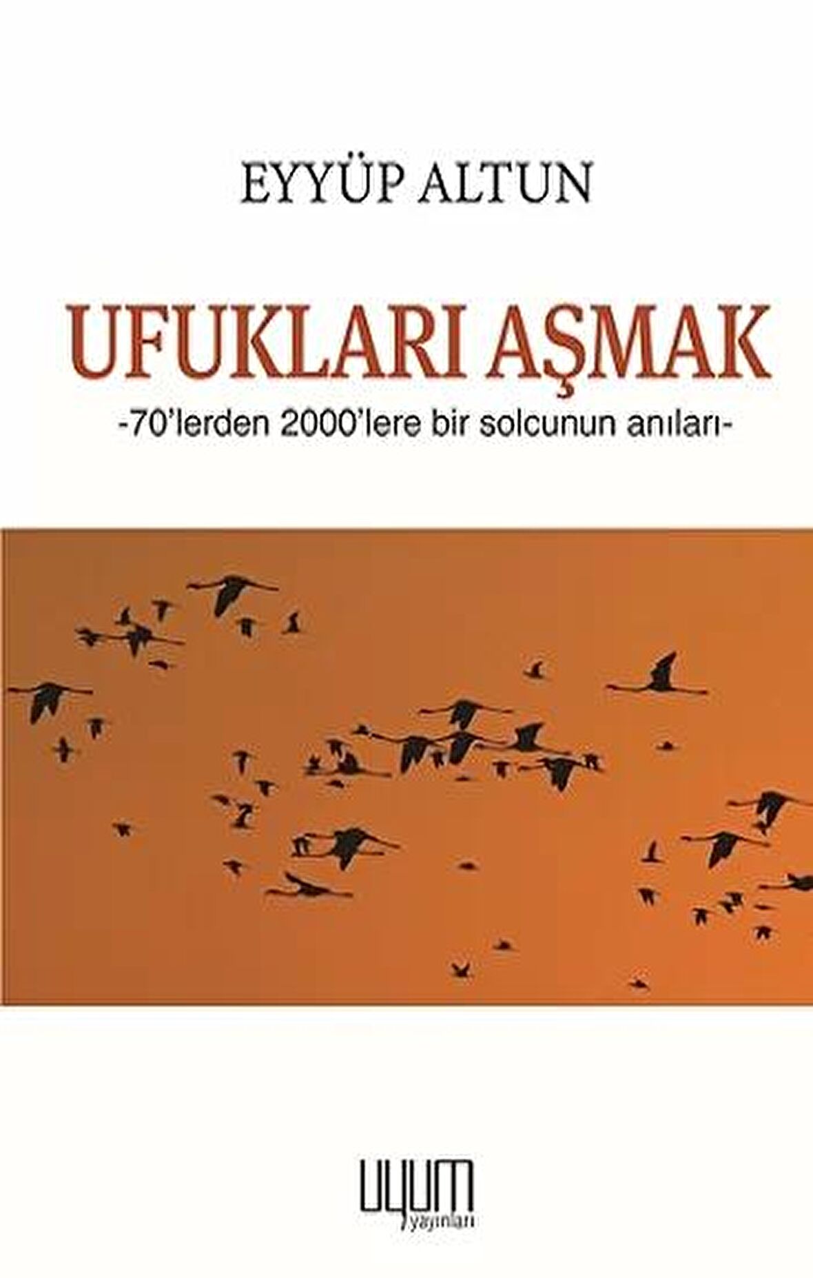 Ufukları Aşmak